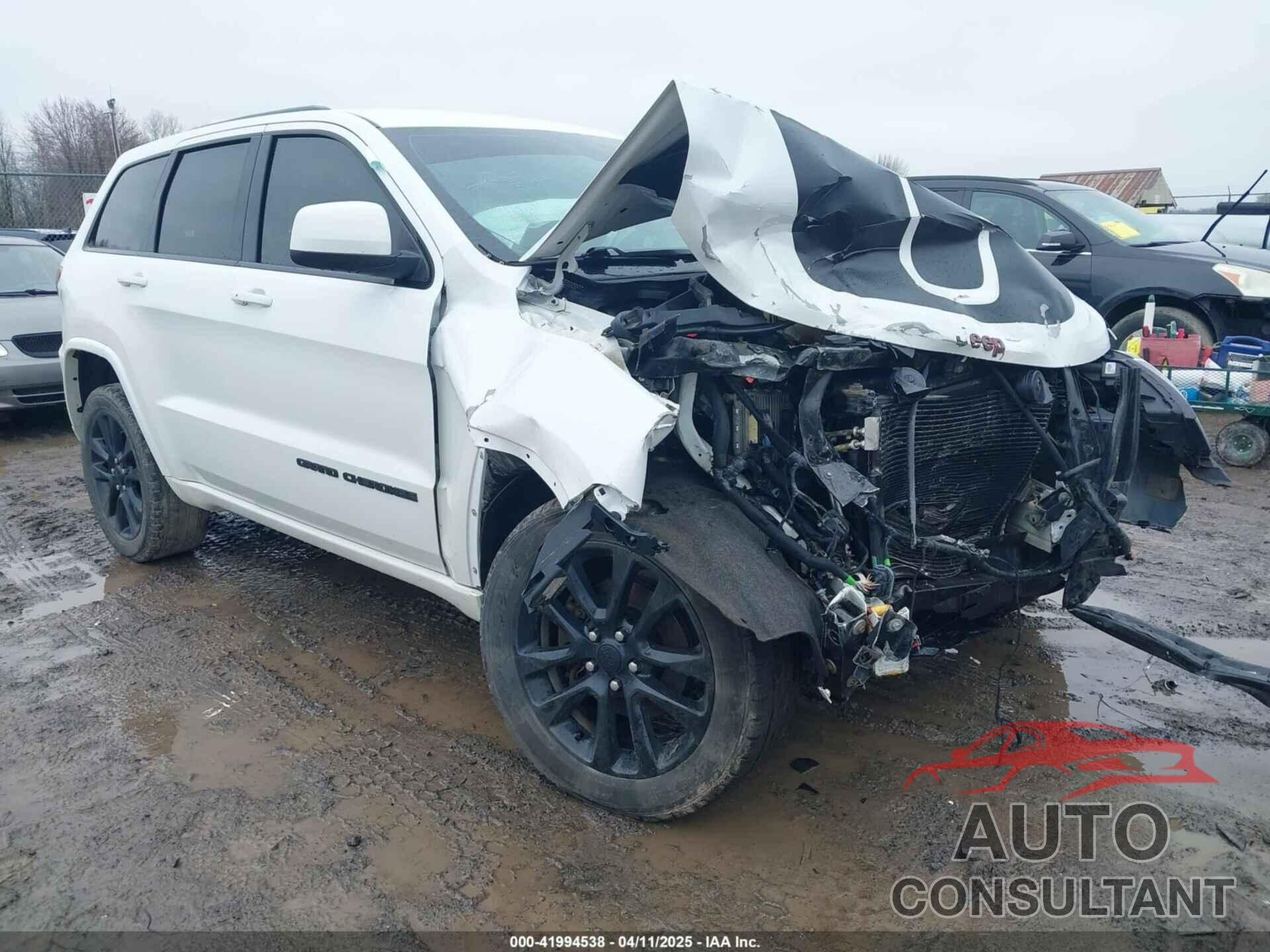 JEEP GRAND CHEROKEE 2017 - 1C4RJFAG9HC946689