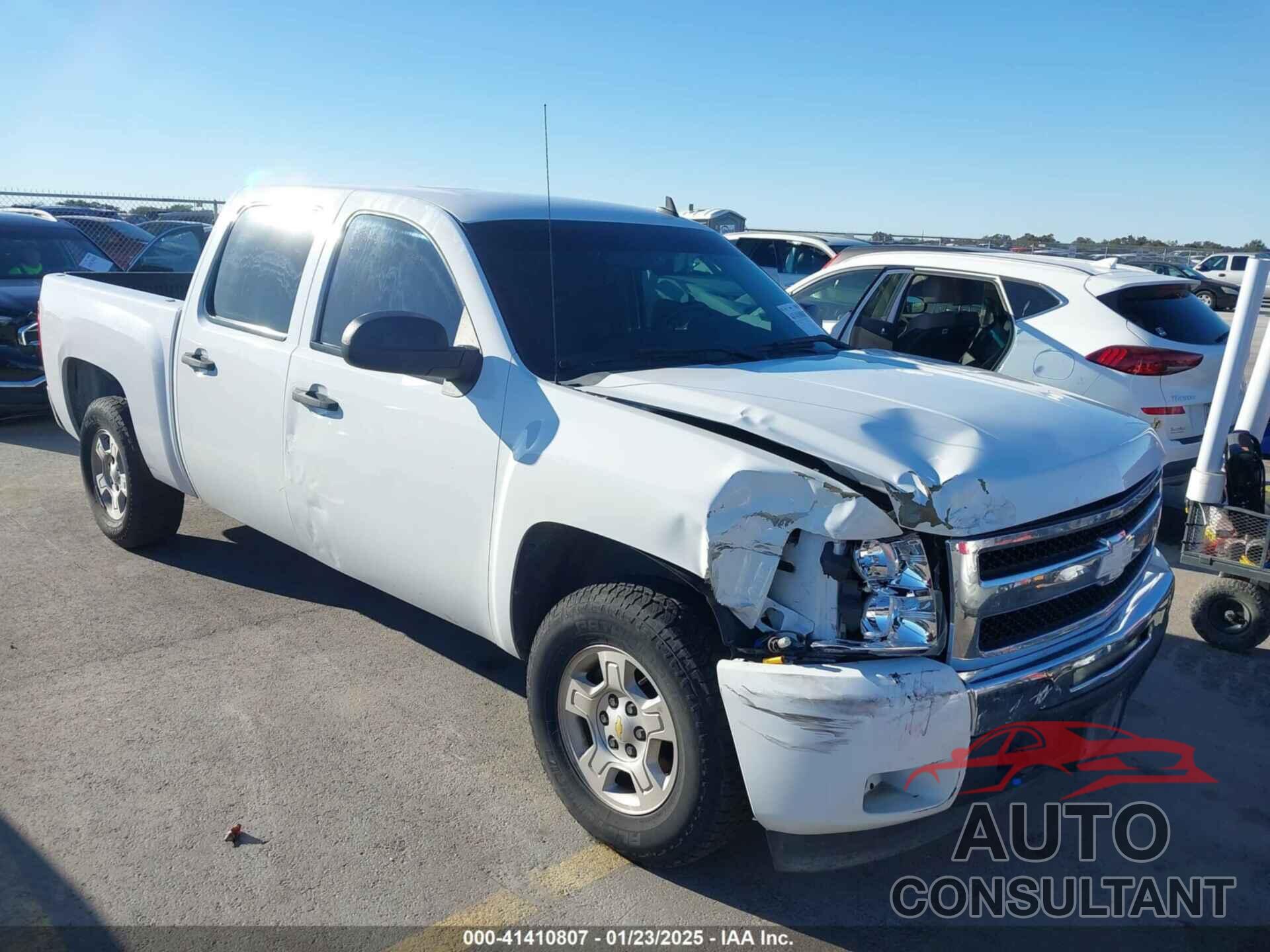 CHEVROLET SILVERADO 1500 2009 - 3GCEC23JX9G130616