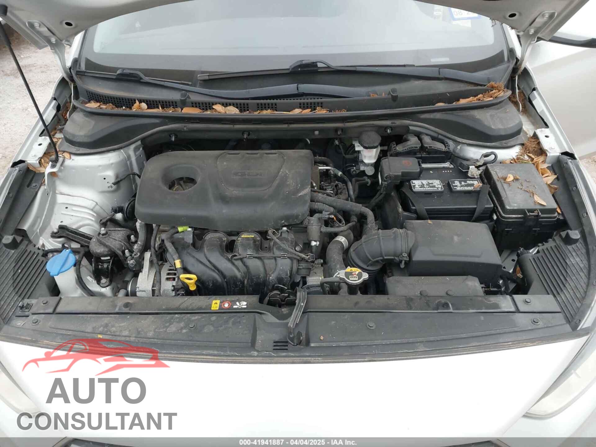 HYUNDAI ACCENT 2019 - 3KPC24A35KE058204