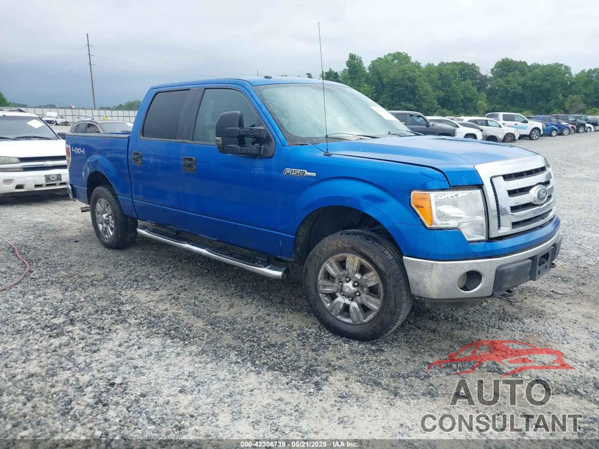 FORD F-150 2010 - 1FTEW1E84AFD74053