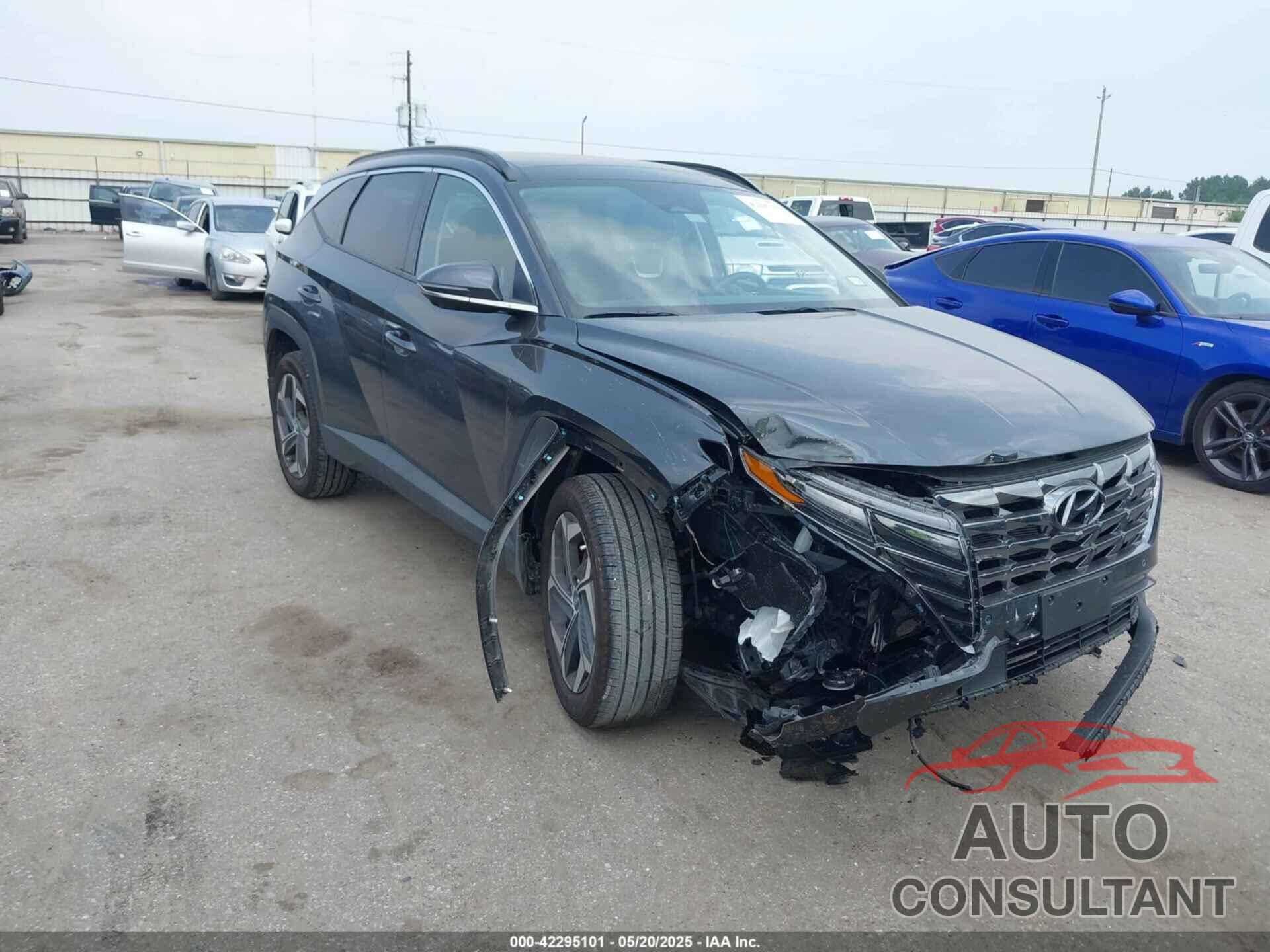 HYUNDAI TUCSON 2024 - 5NMJECDE2RH356671
