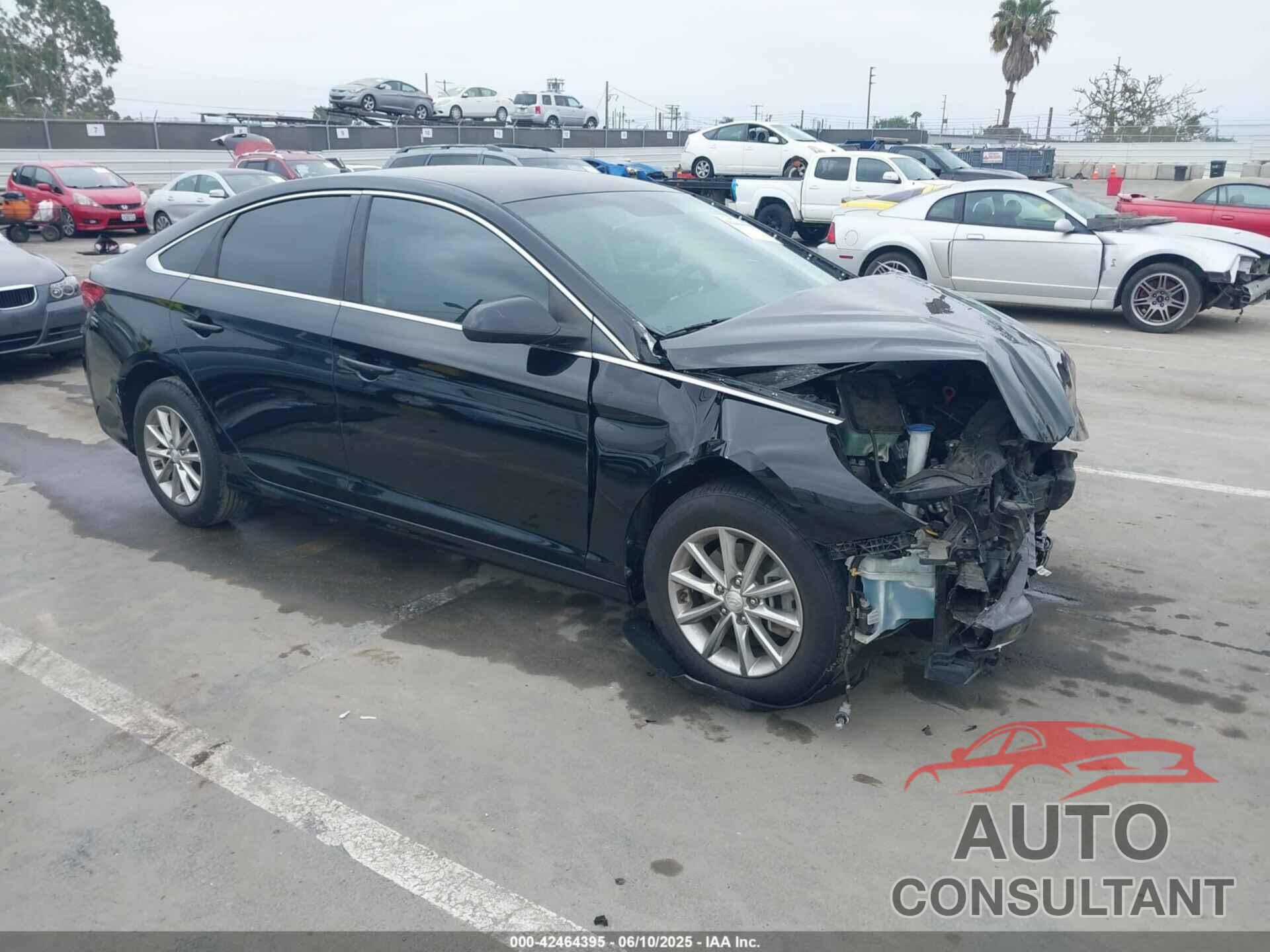 HYUNDAI SONATA 2018 - 5NPE24AF9JH610980