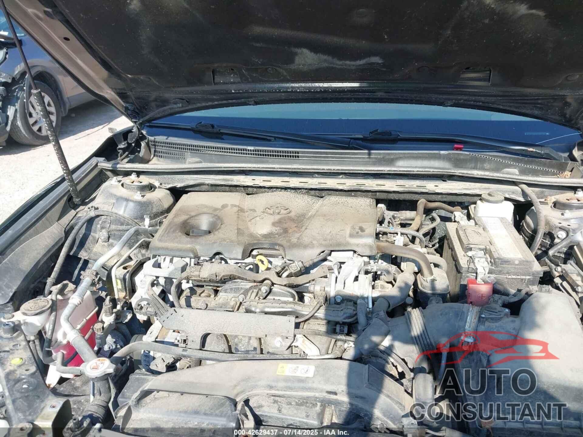 TOYOTA CAMRY 2019 - 4T1B11HK0KU167290