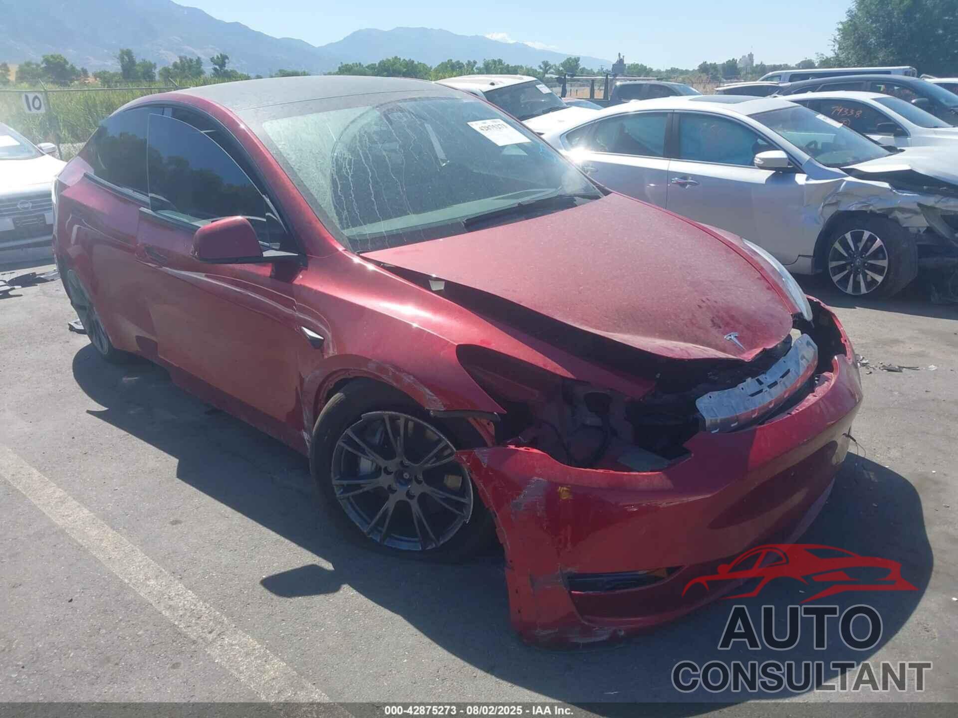 TESLA MODEL Y 2024 - 7SAYGDEE7RF192111