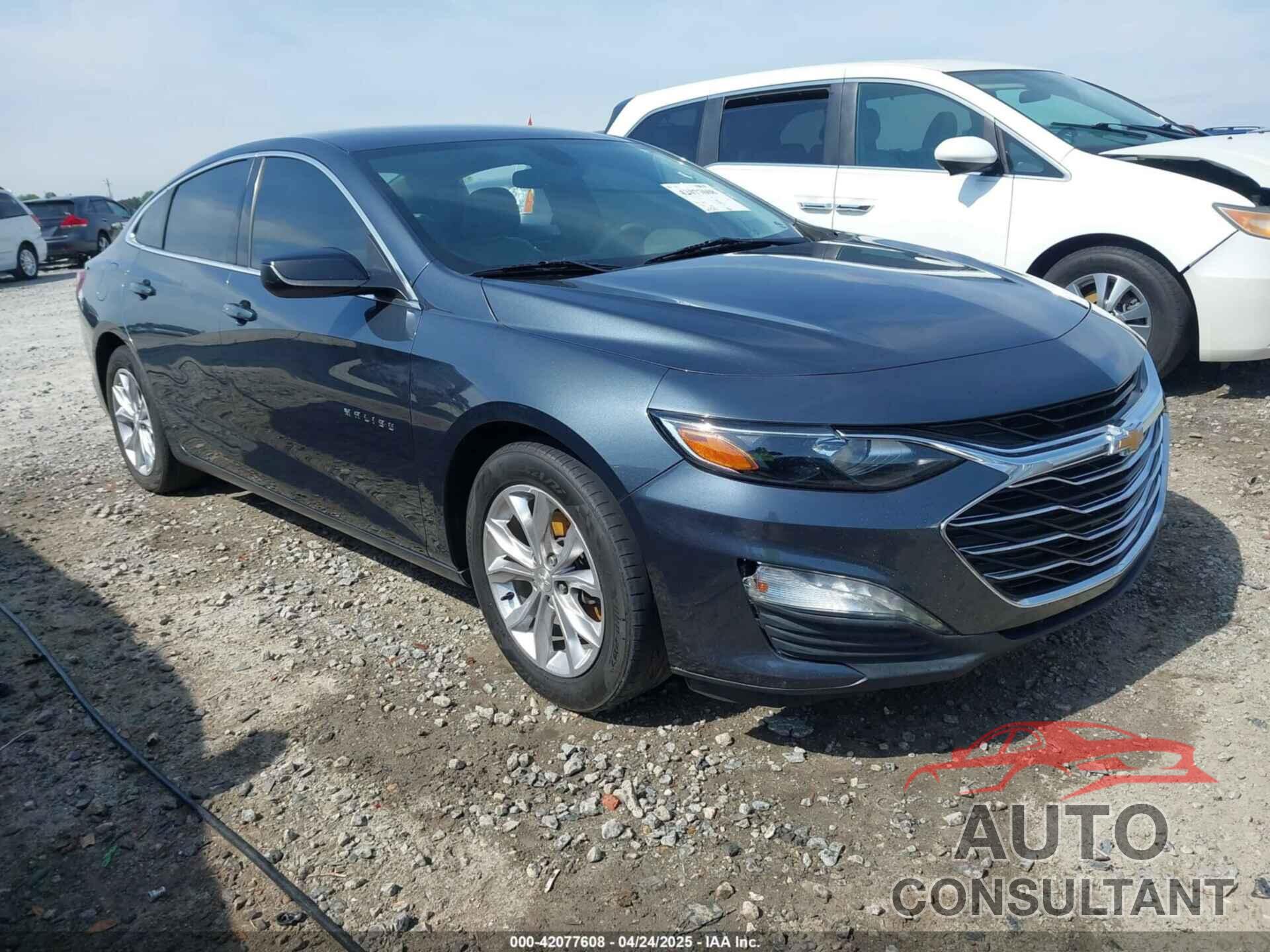 CHEVROLET MALIBU 2019 - 1G1ZD5STXKF135950
