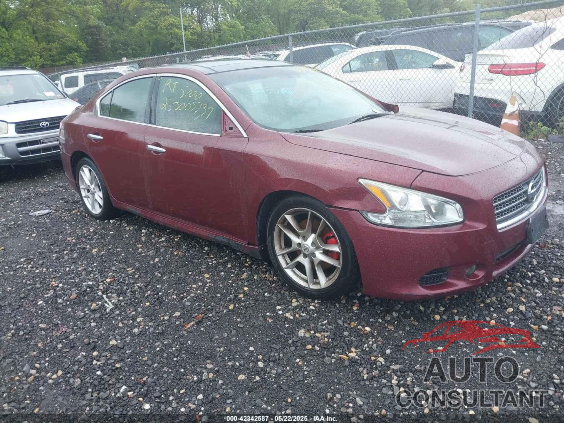 NISSAN MAXIMA 2010 - 1N4AA5AP7AC824822