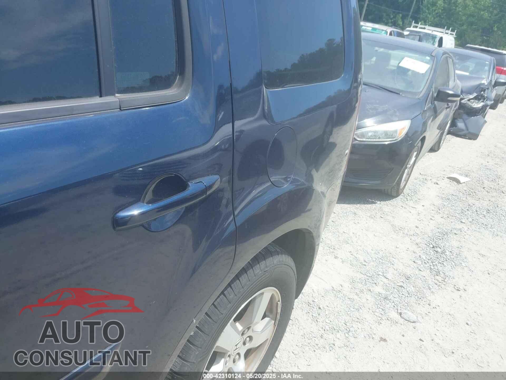 HONDA PILOT 2009 - 5FNYF38599B018529