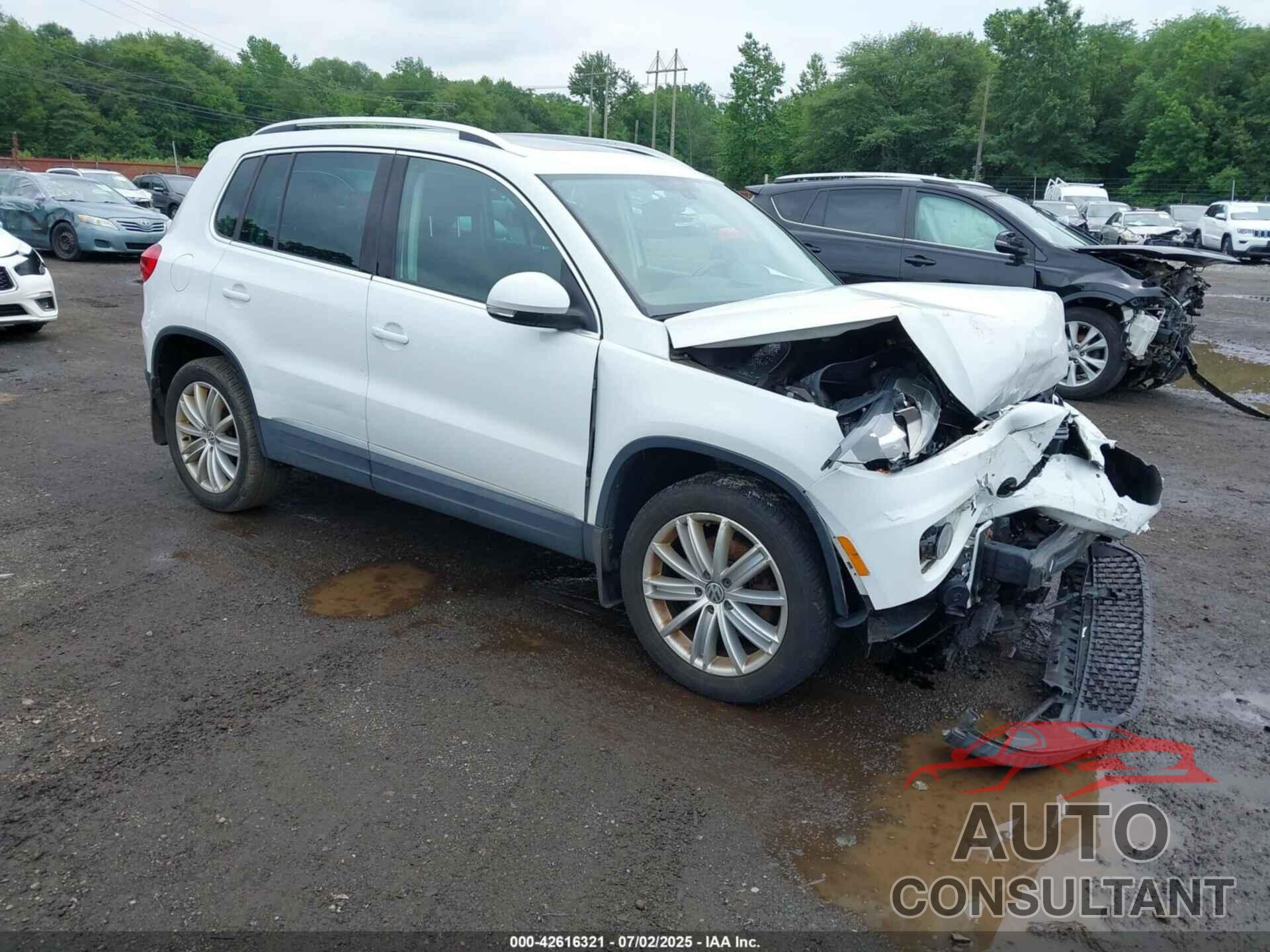 VOLKSWAGEN TIGUAN 2016 - WVGBV7AXXGW522684