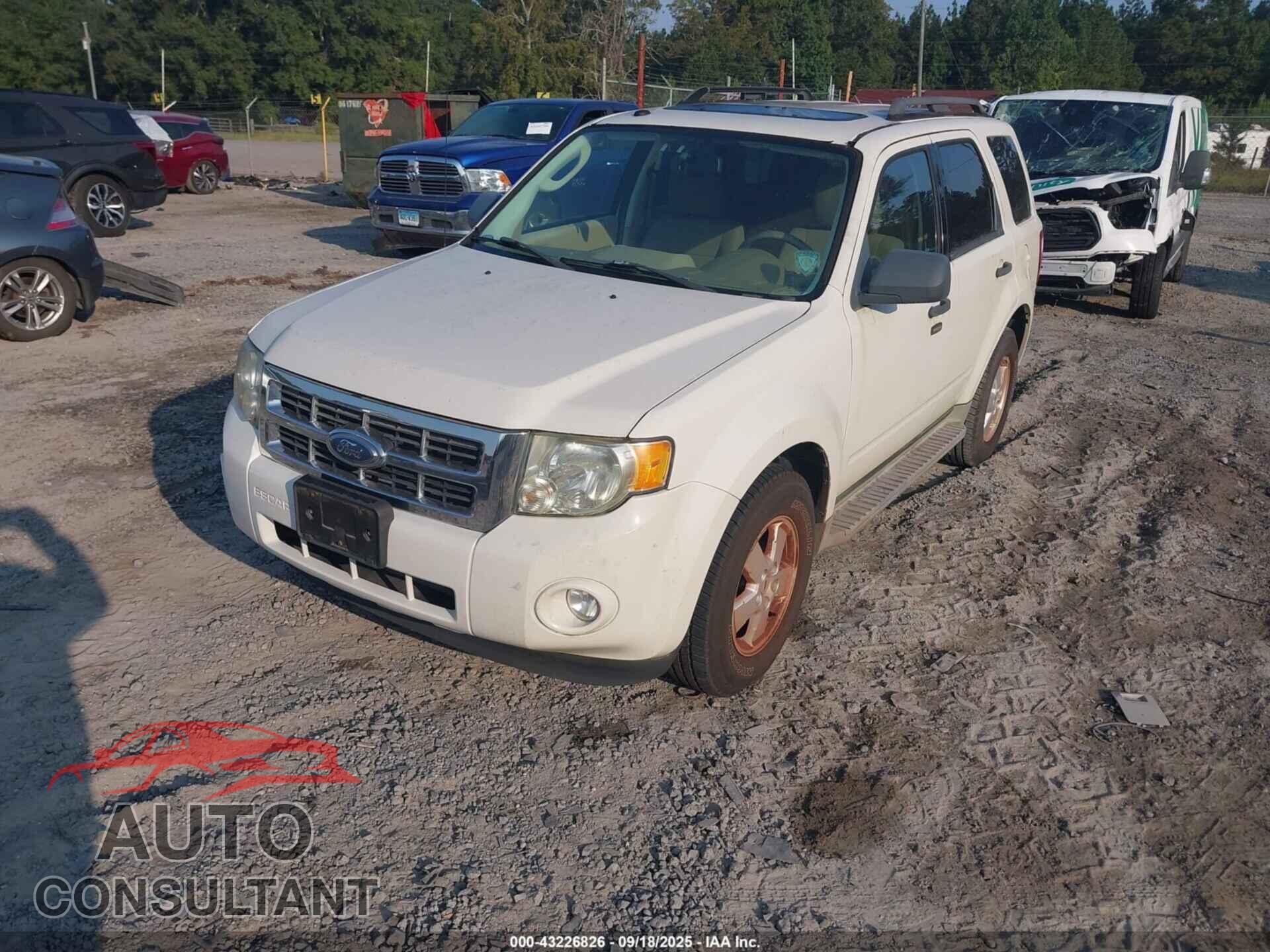 FORD ESCAPE 2010 - 1FMCU9D79AKA09181