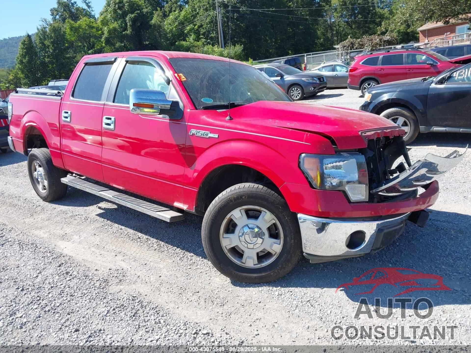 FORD F-150 2010 - 1FTEW1C8XAFA69059