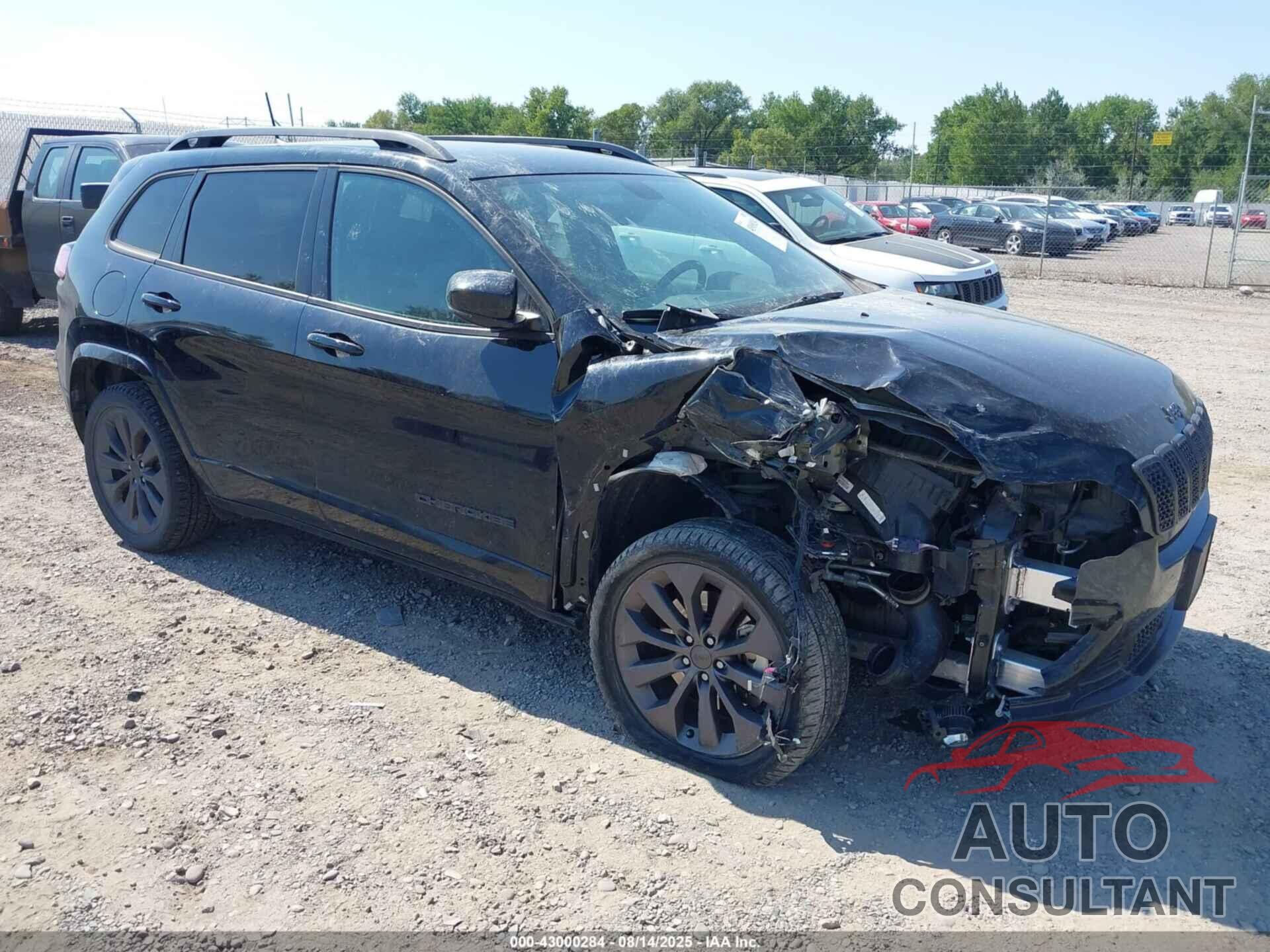 JEEP CHEROKEE 2020 - 1C4PJMDNXLD547069