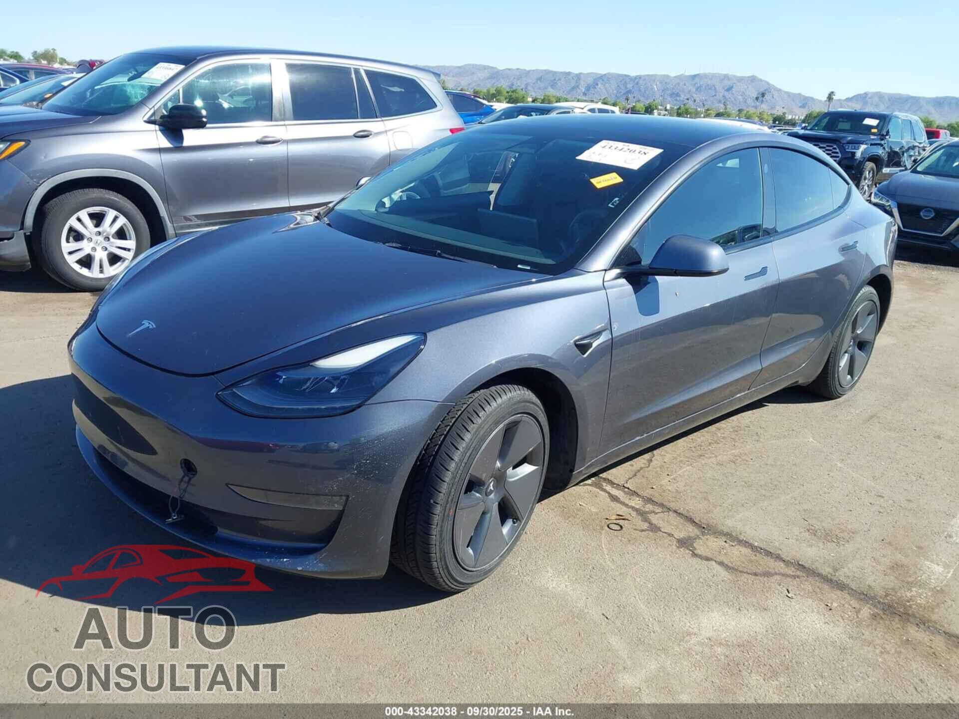 TESLA MODEL 3 2023 - 5YJ3E1EA1PF385599