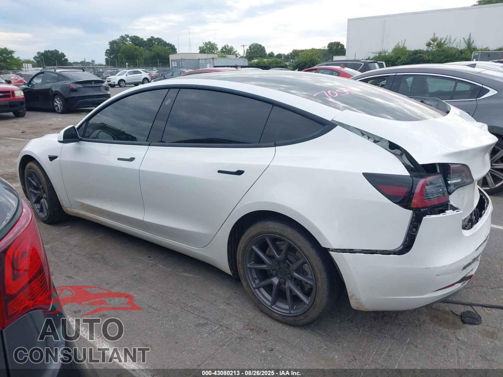 TESLA MODEL 3 2023 - 5YJ3E1EAXPF397055