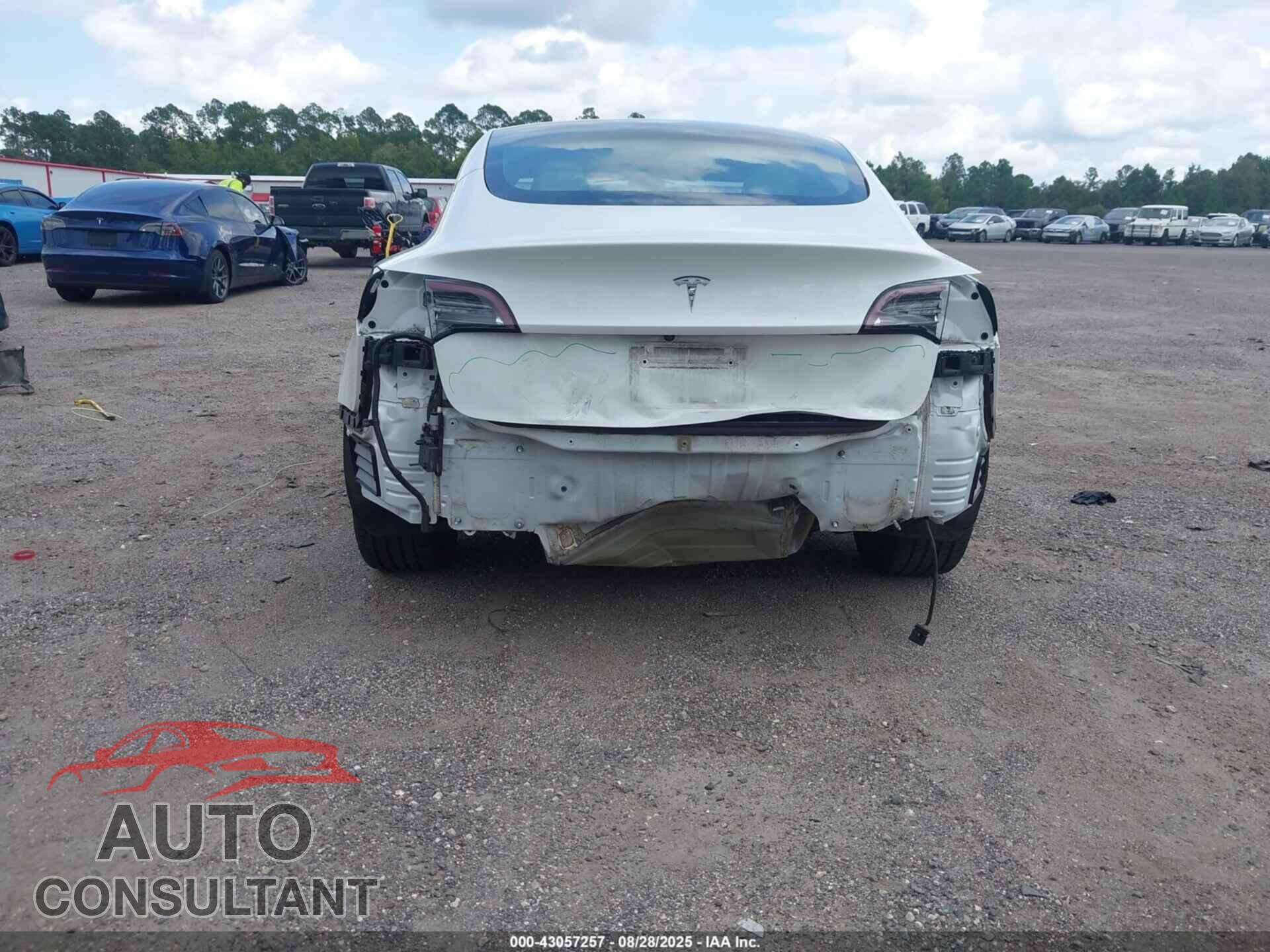 TESLA MODEL 3 2021 - 5YJ3E1EA6MF030648