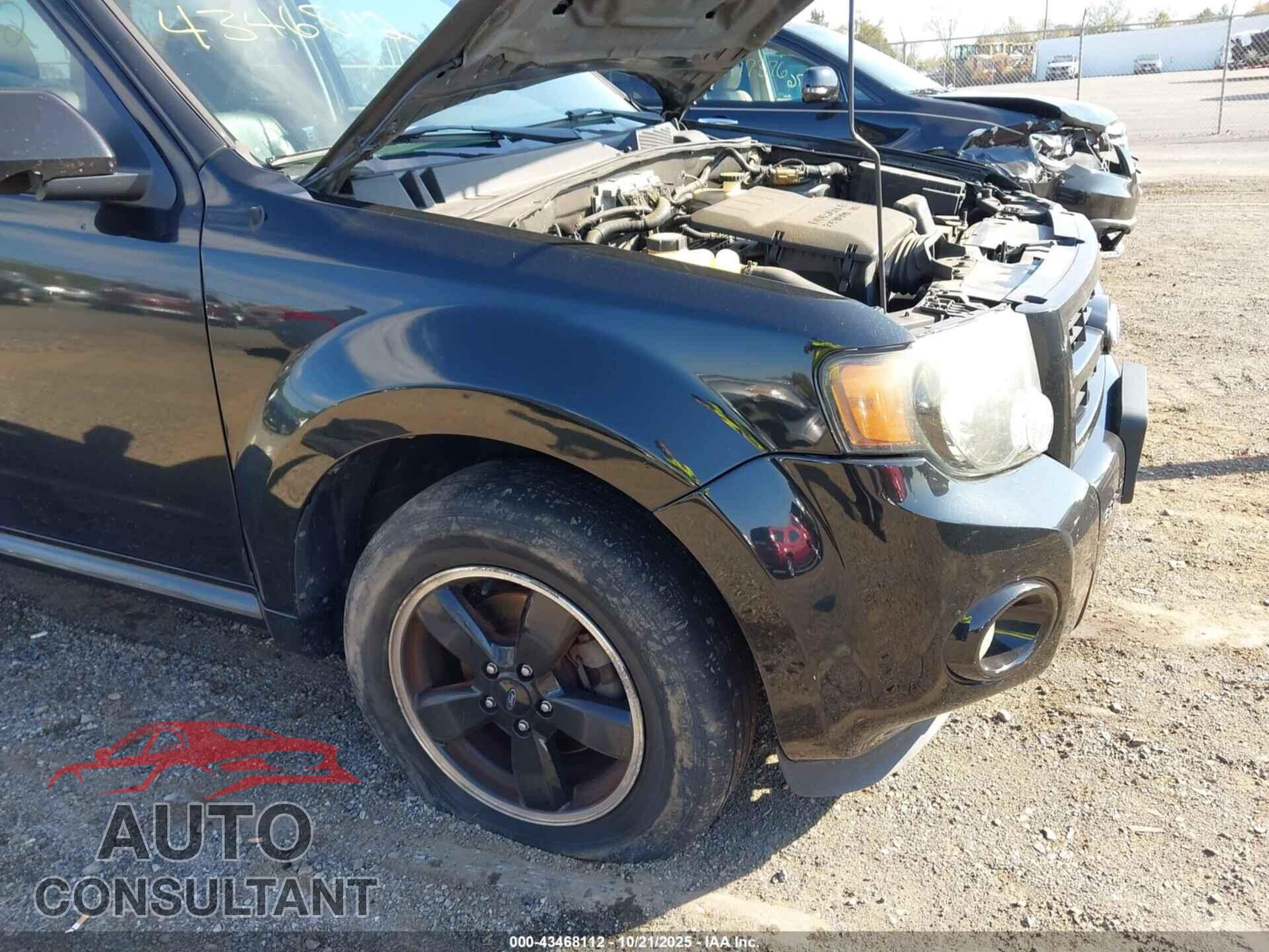 FORD ESCAPE 2011 - 1FMCU9DG7BKA66416