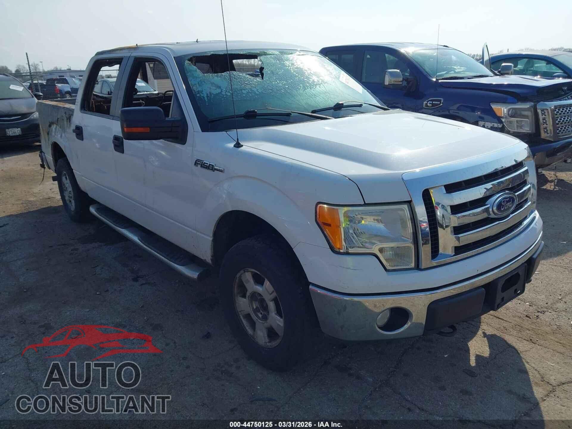 FORD F-150 2010 - 1FTEW1E89AFD63498