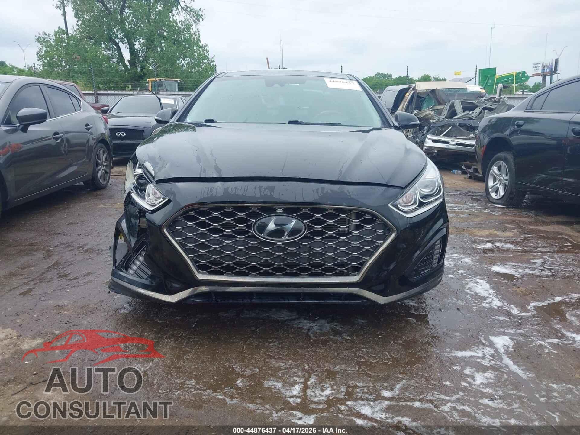 HYUNDAI SONATA 2019 - 5NPE34AF2KH771105