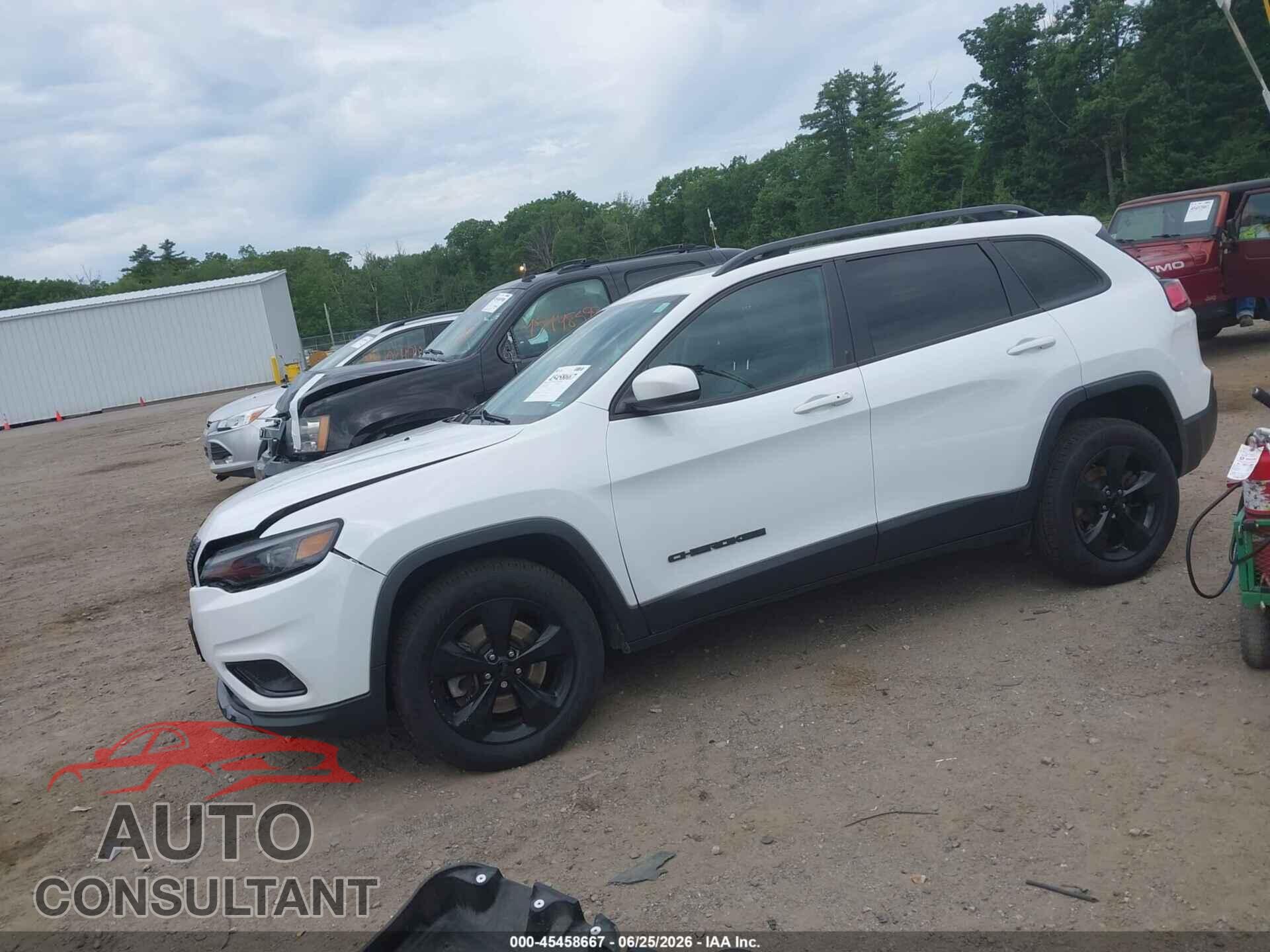 JEEP CHEROKEE 2019 - 1C4PJMLB8KD391247