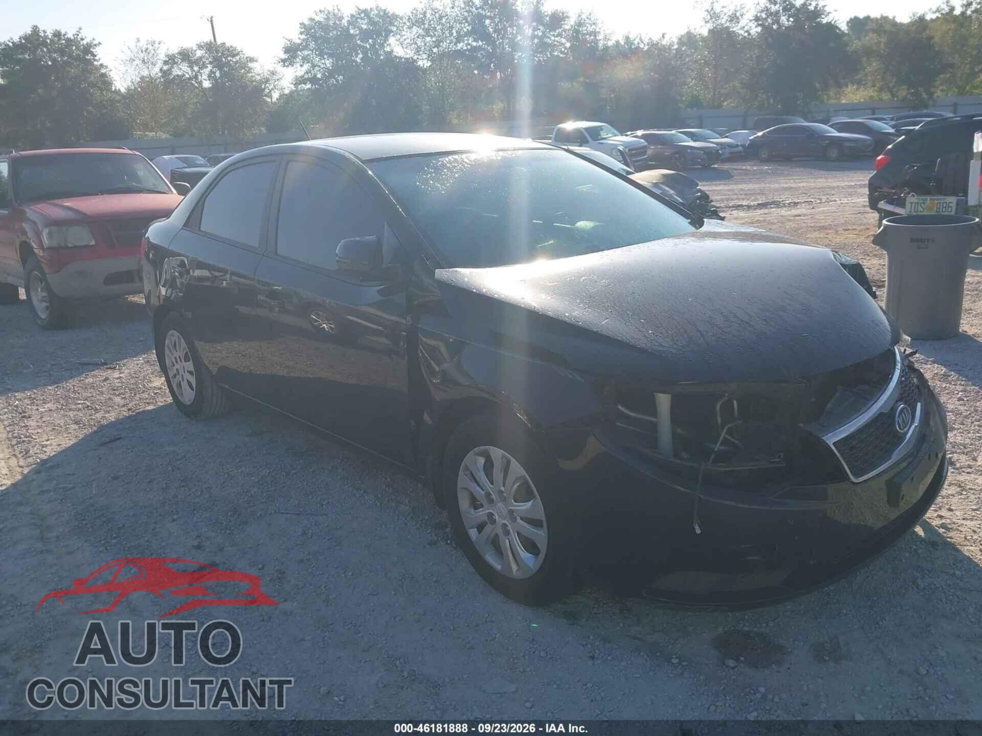 KIA FORTE 2012 - KNAFU4A24C5607884