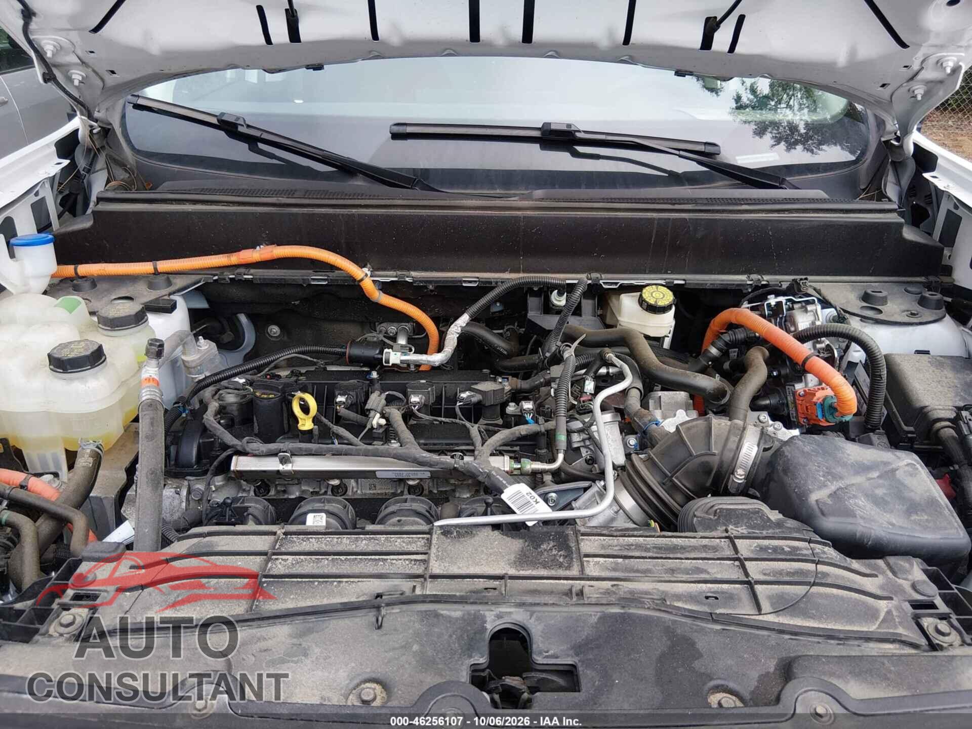 FORD MAVERICK 2025 - 3FTTW8A39SRA64950