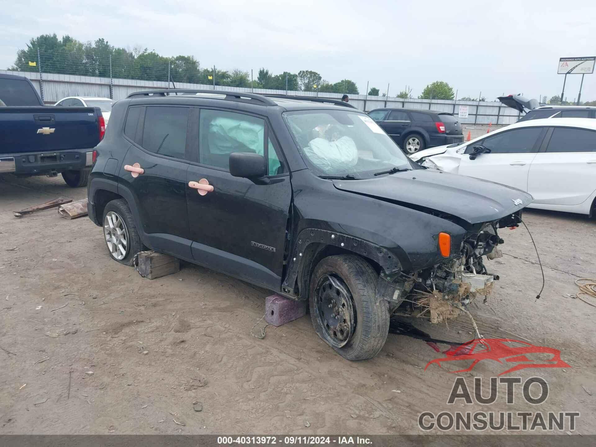 JEEP RENEGADE 2020 - ZACNJAAB2LPL39069