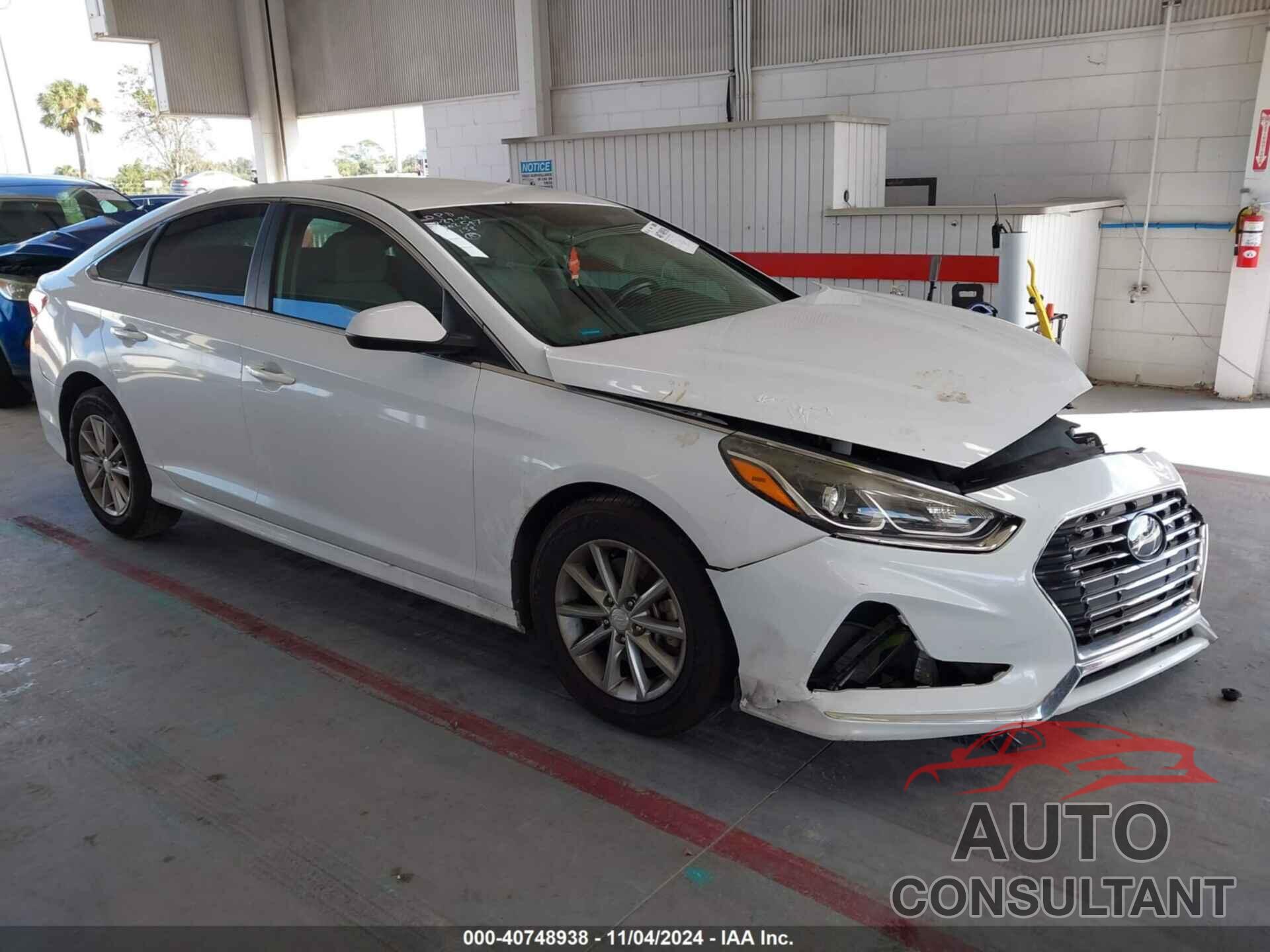 HYUNDAI SONATA 2019 - 5NPE24AFXKH747282