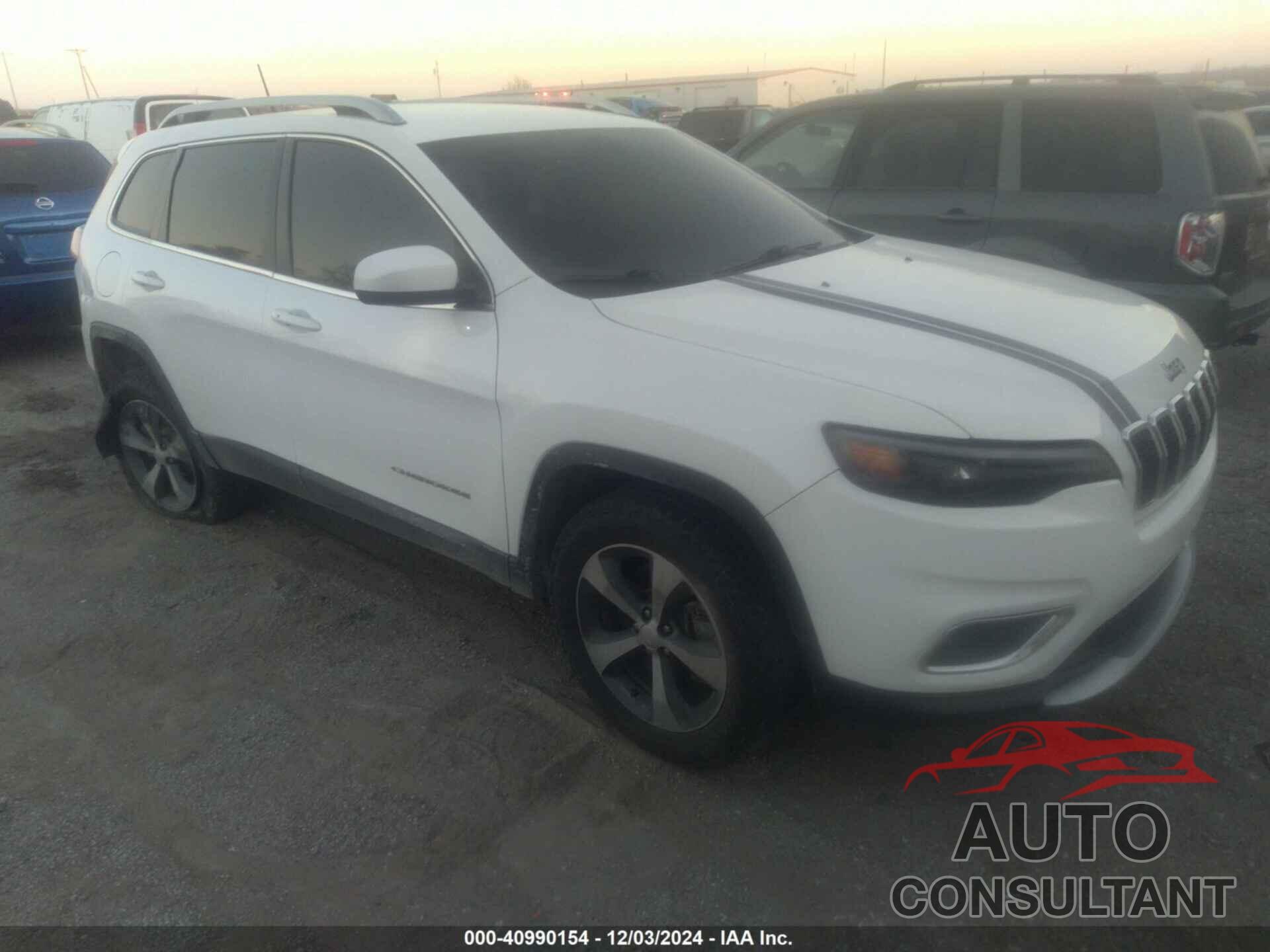 JEEP CHEROKEE 2019 - 1C4PJMDN6KD186423