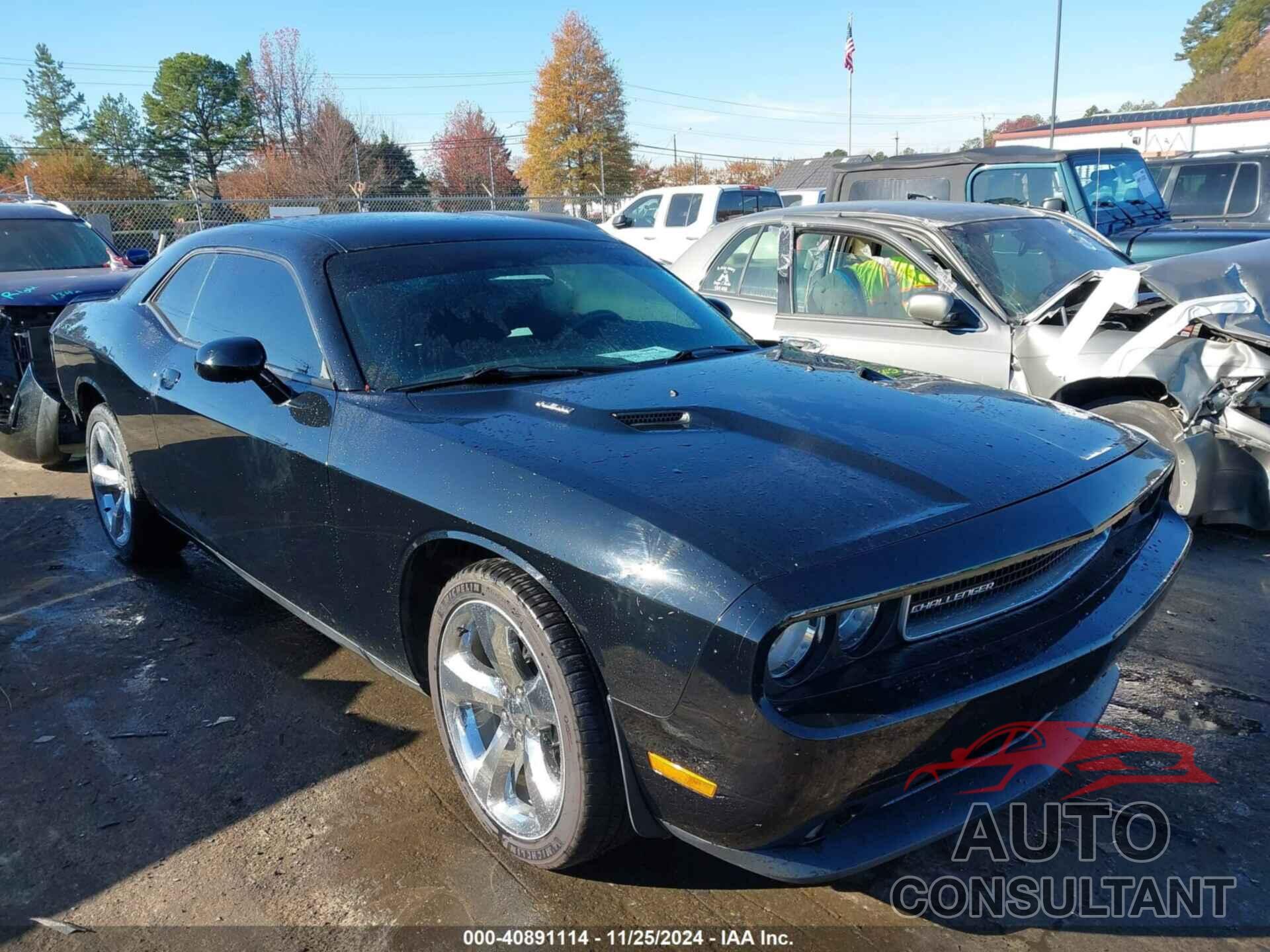 DODGE CHALLENGER 2013 - 2C3CDYBT2DH740436