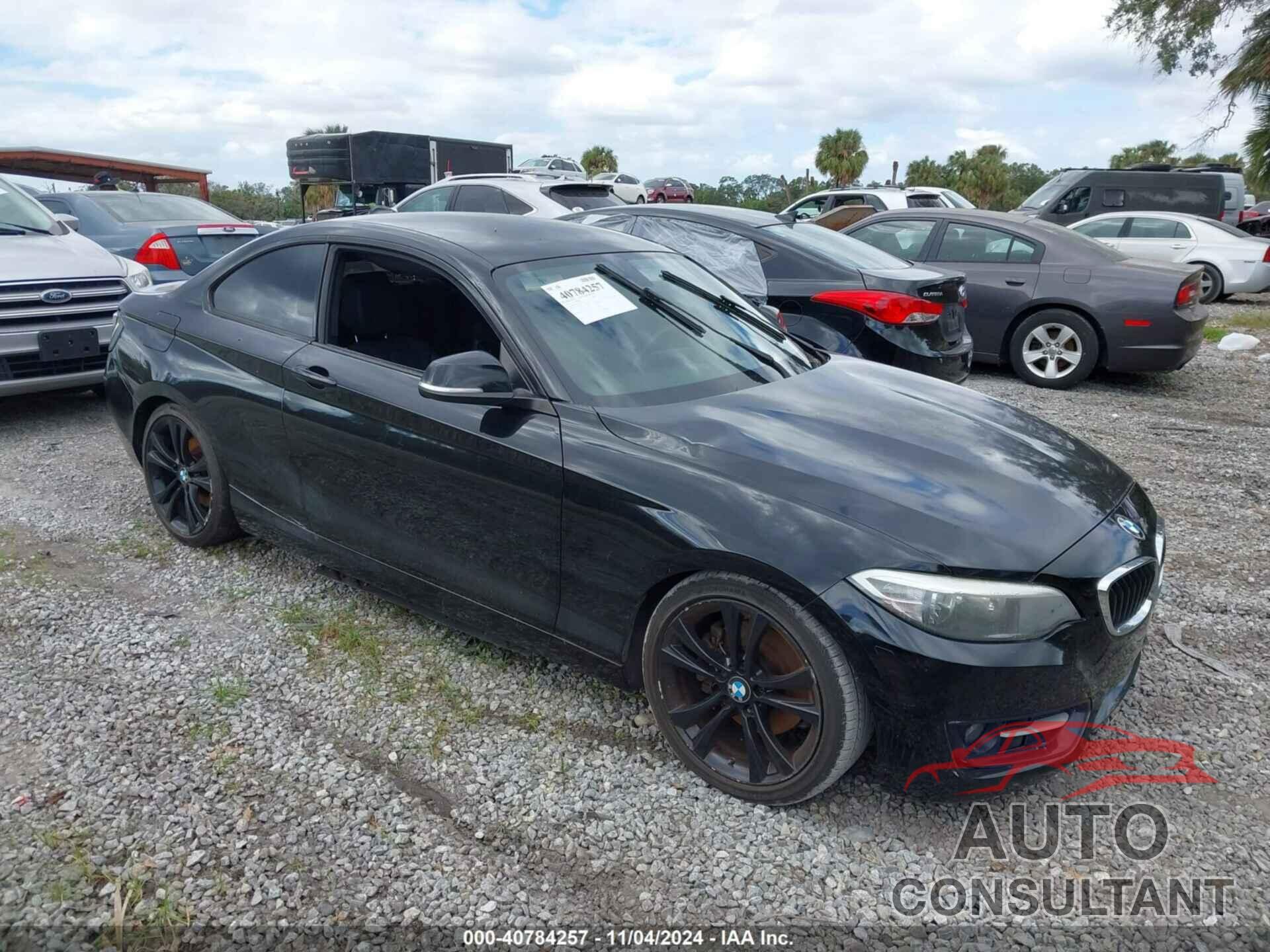 BMW 228I 2014 - WBA1F5C50EVV99352