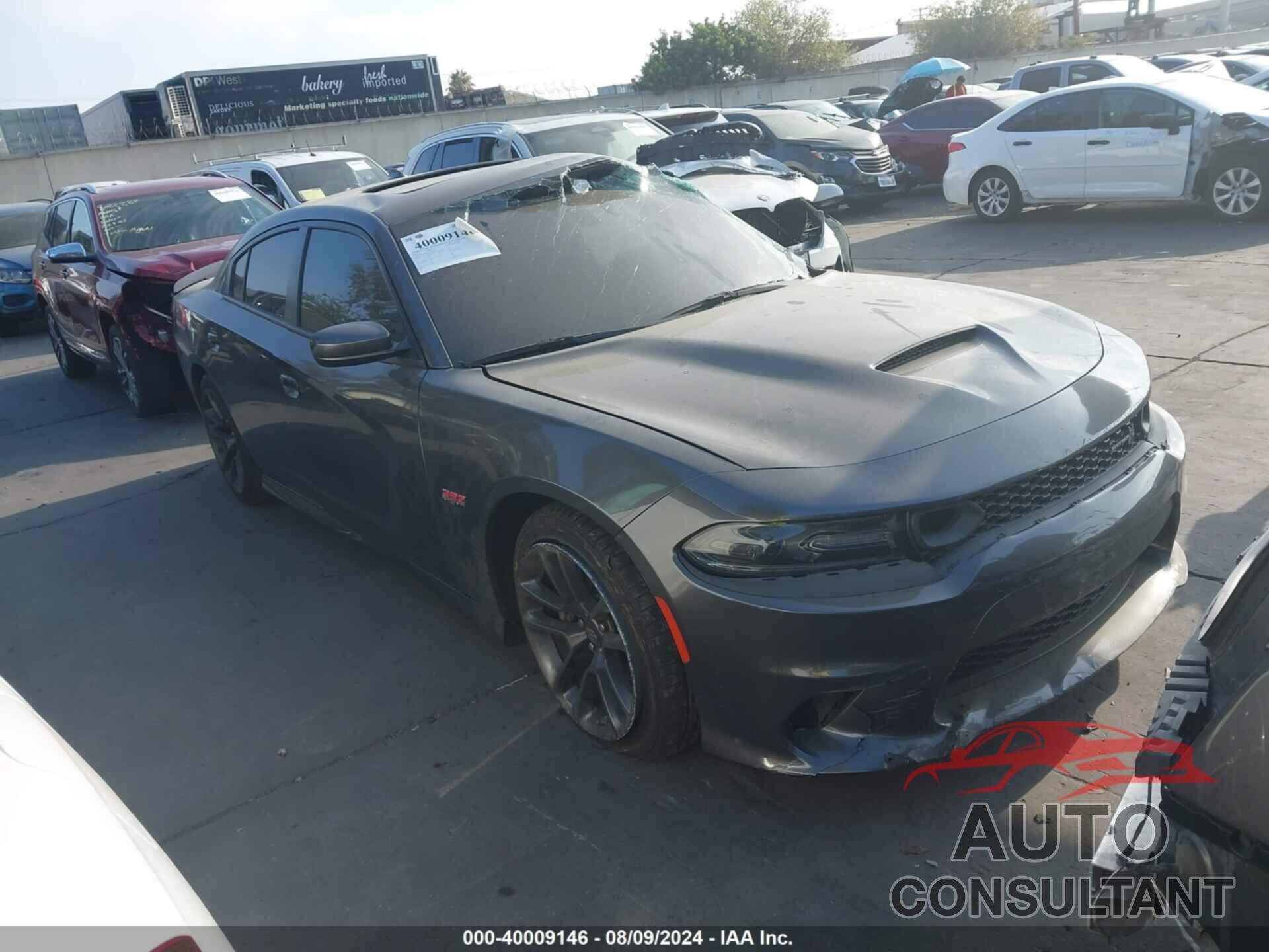 DODGE CHARGER 2021 - 2C3CDXGJ2MH595402