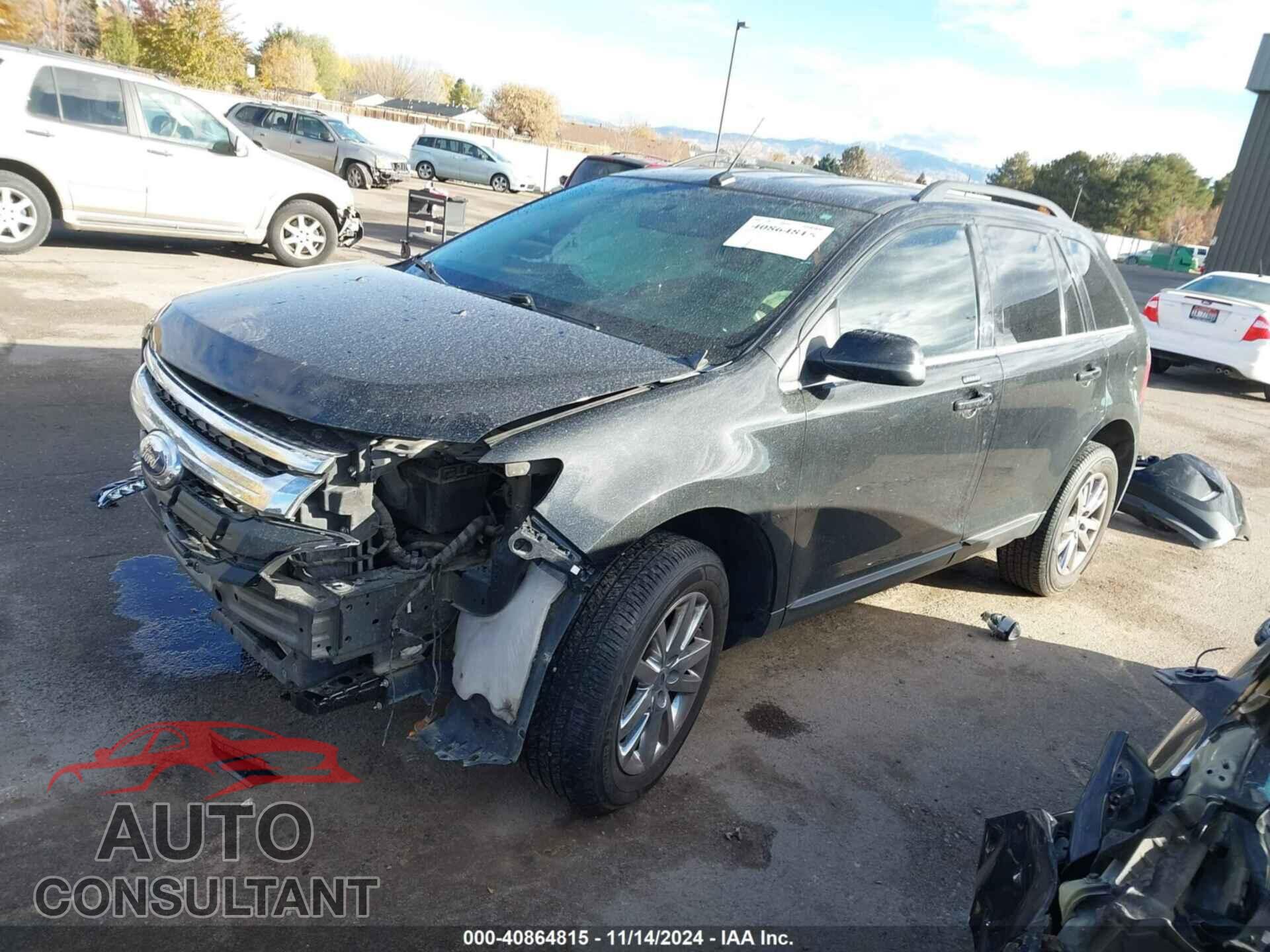 FORD EDGE 2014 - 2FMDK4KC2EBA66092