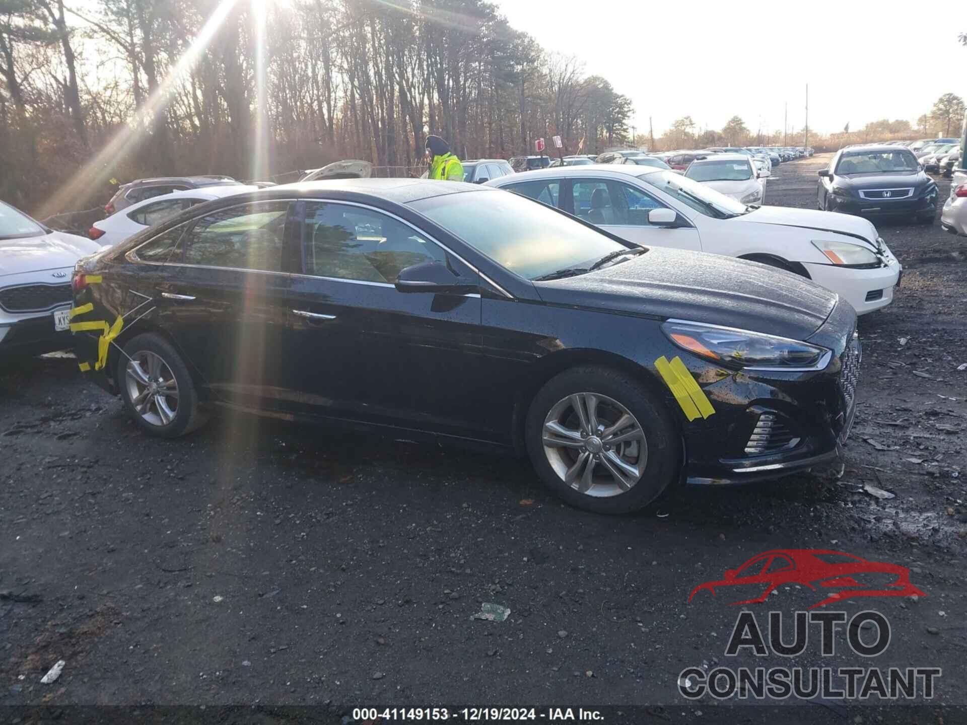 HYUNDAI SONATA 2019 - 5NPE34AF4KH747243