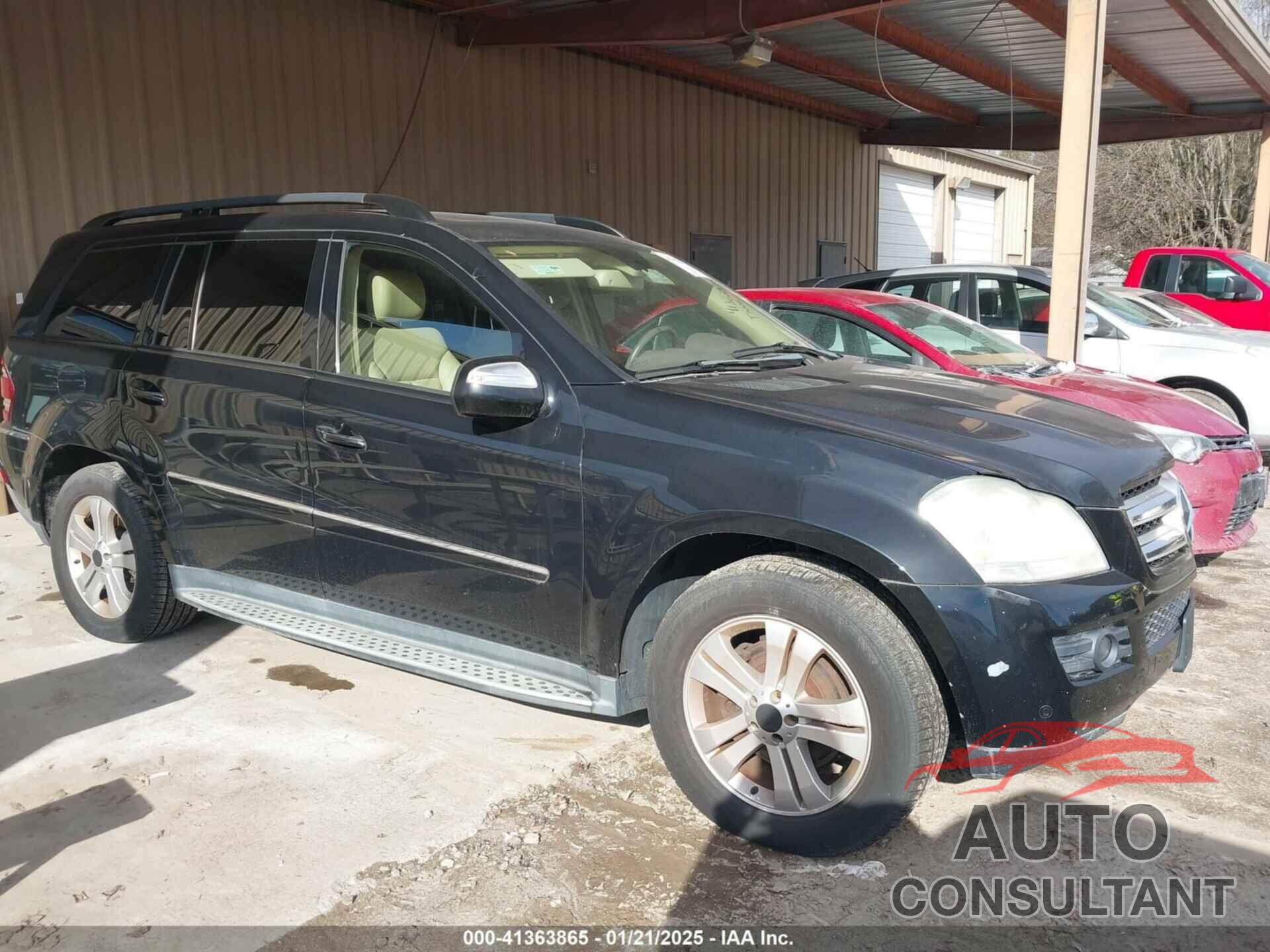 MERCEDES-BENZ GL 450 2009 - 4JGBF71E19A496052