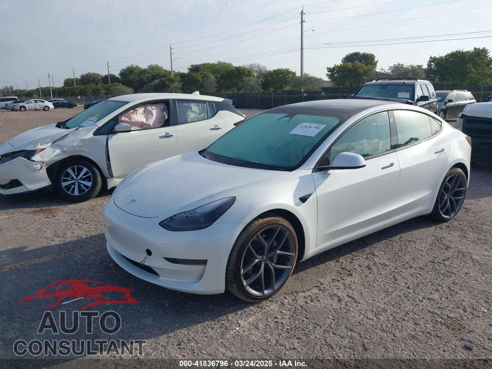 TESLA MODEL 3 2021 - 5YJ3E1EAXMF908601