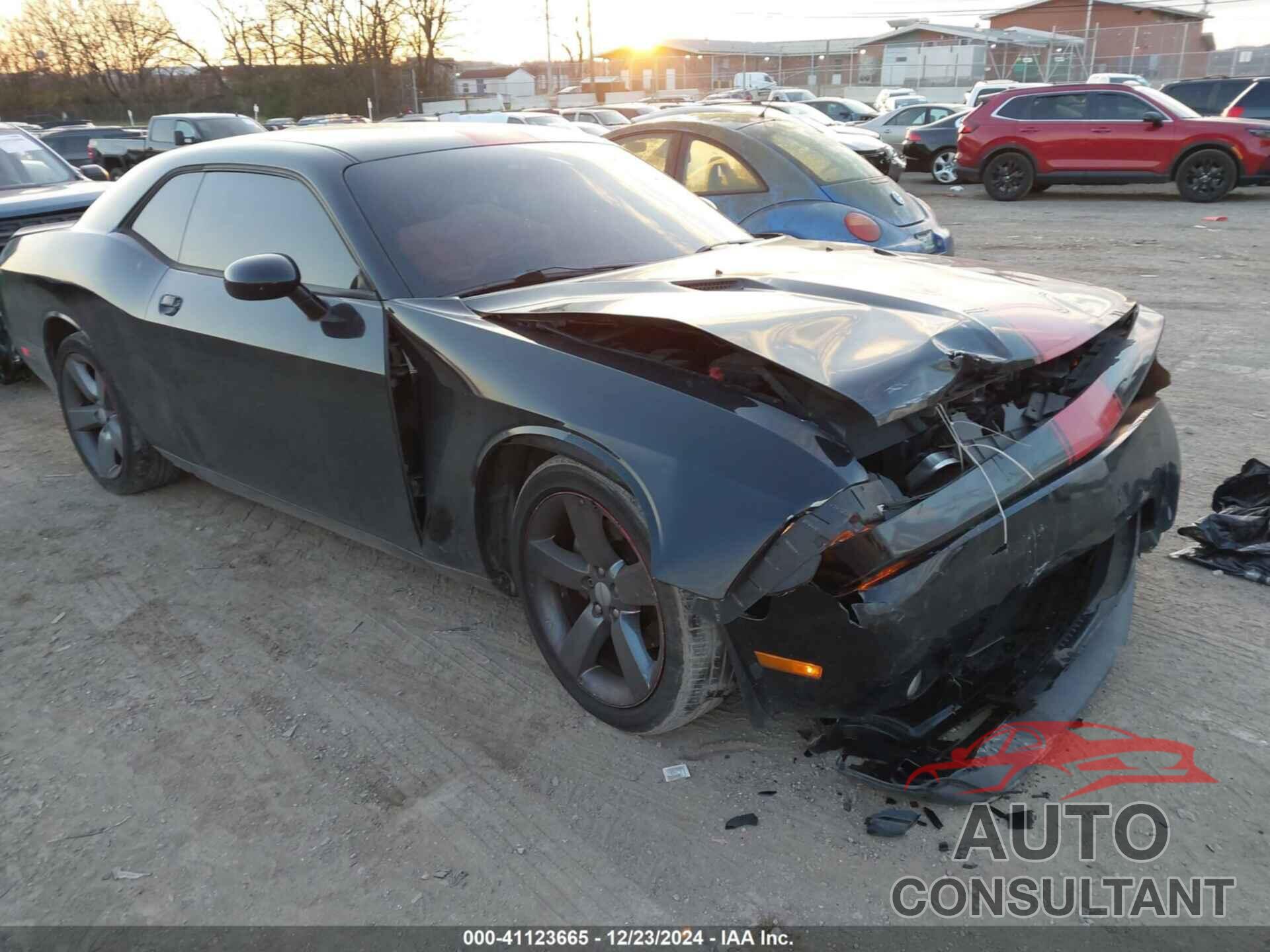 DODGE CHALLENGER 2013 - 2C3CDYAGXDH695251