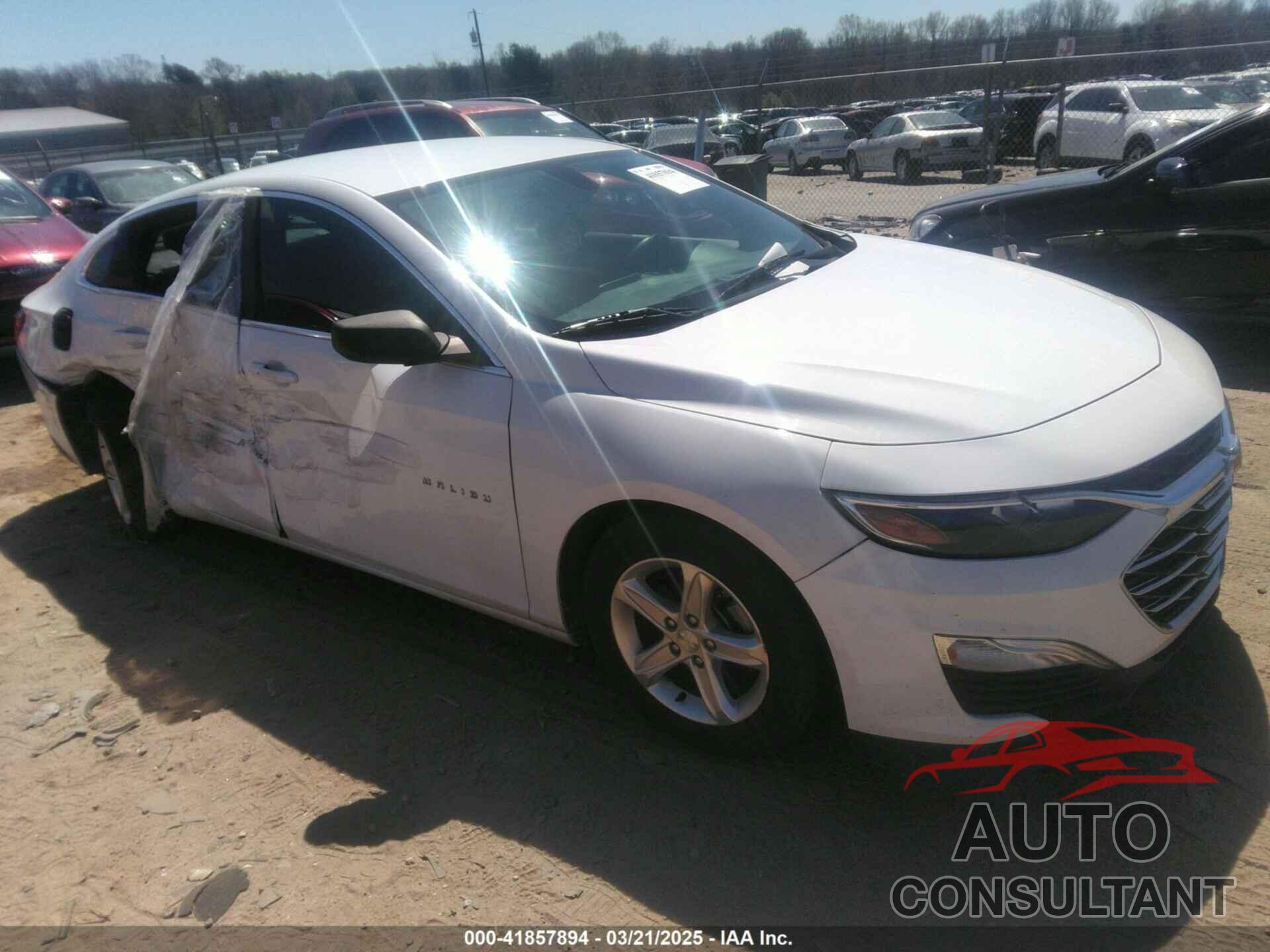 CHEVROLET MALIBU 2019 - 1G1ZB5ST0KF184399