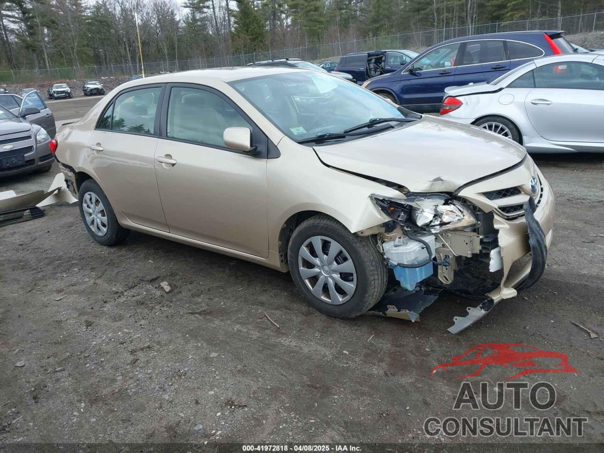 TOYOTA COROLLA 2011 - JTDBU4EE1B9137262