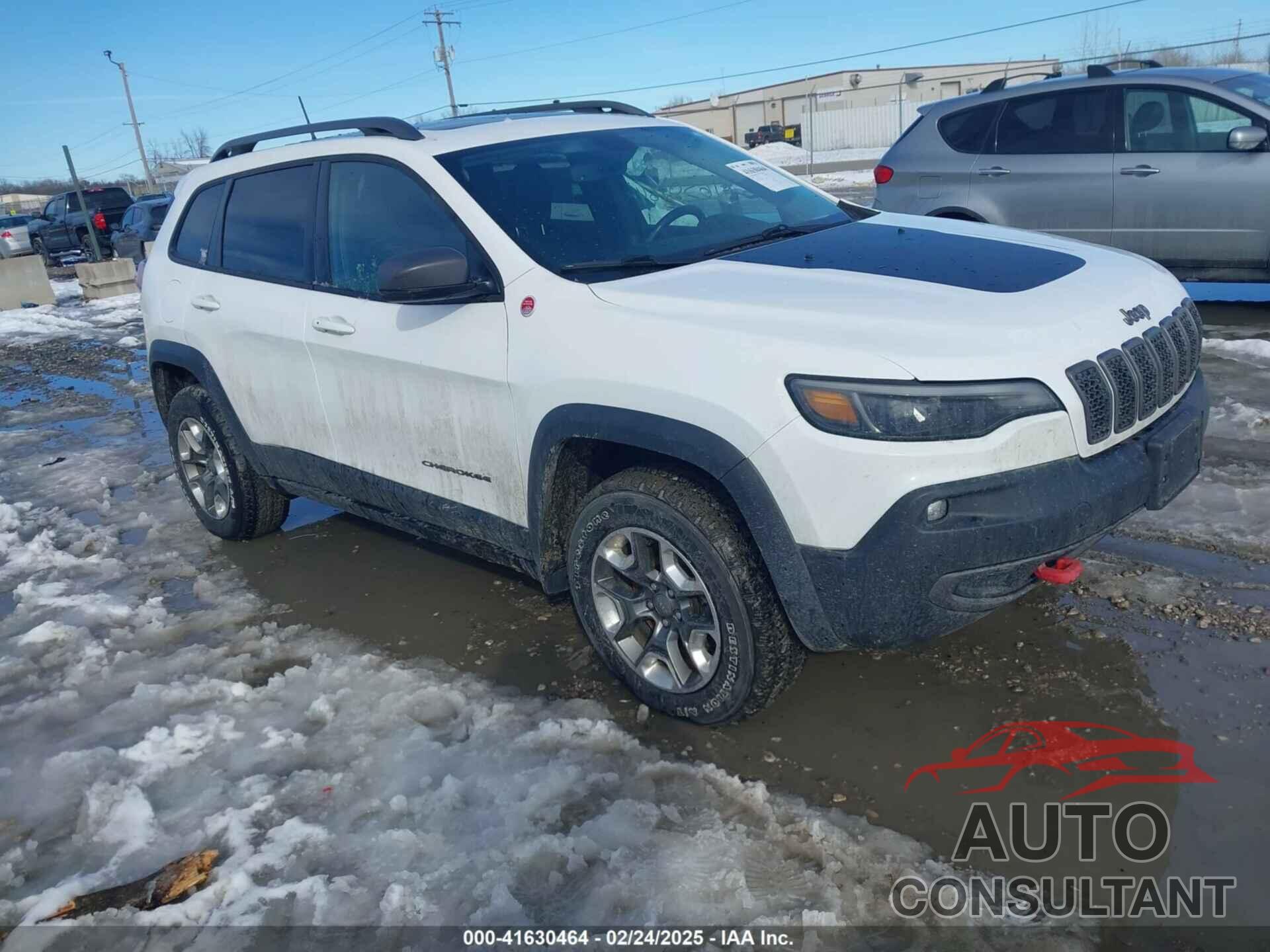 JEEP CHEROKEE 2019 - 1C4PJMBX0KD315275