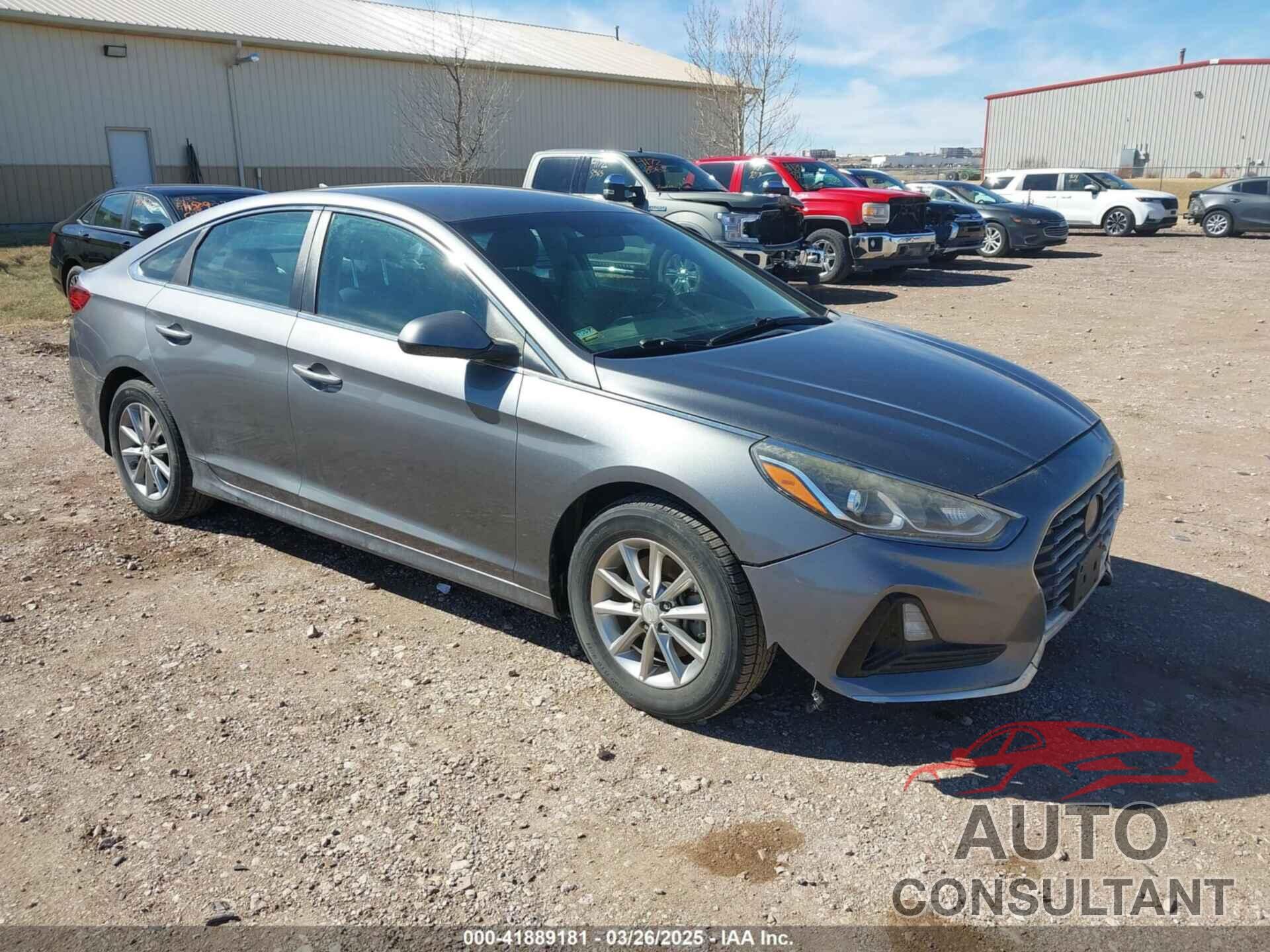 HYUNDAI SONATA 2019 - 5NPE24AF6KH743102