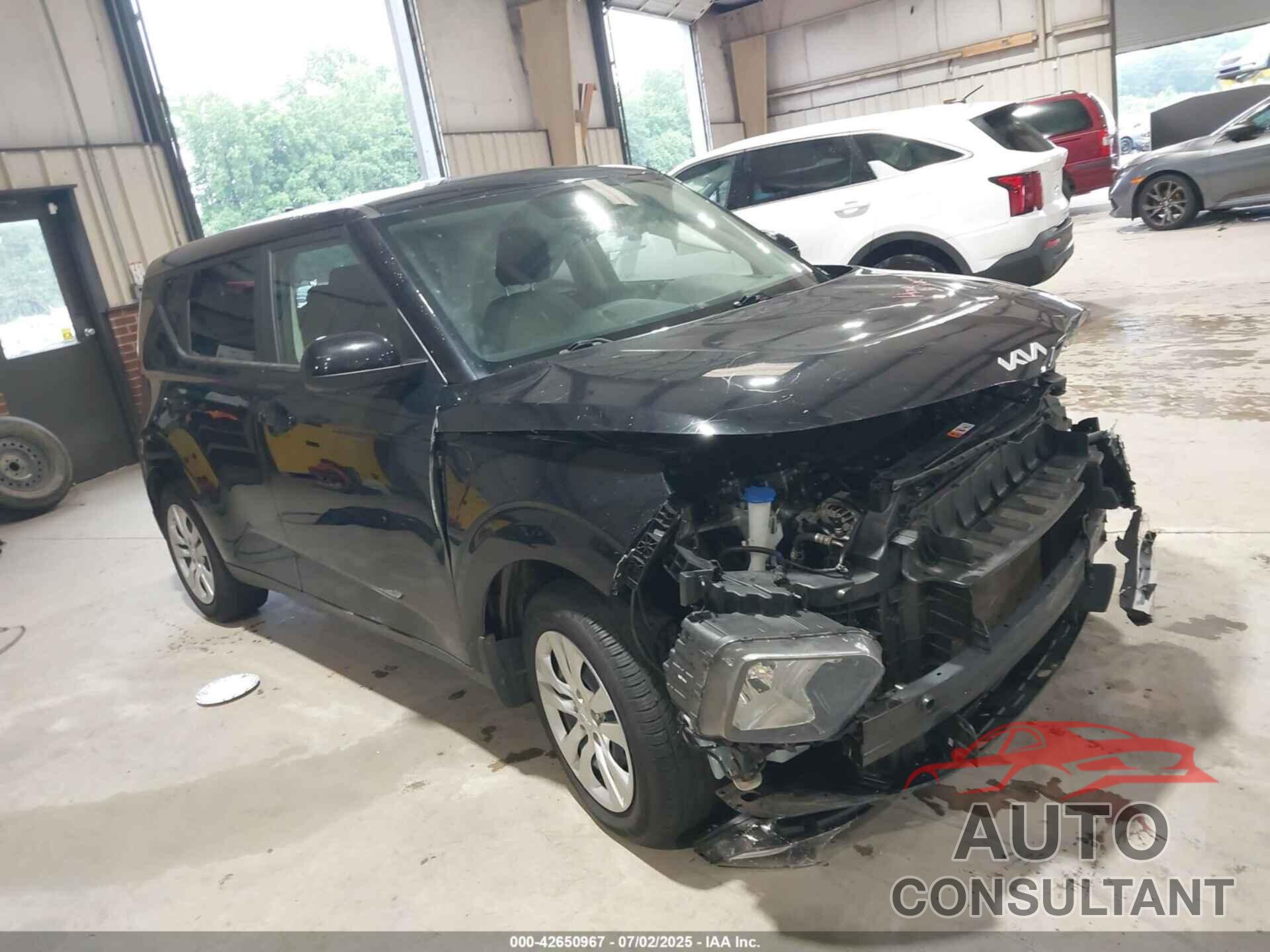 KIA SOUL 2022 - KNDJ23AUXN7184136