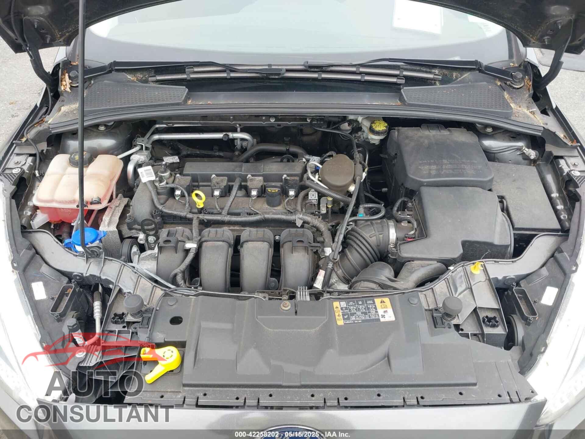 FORD FOCUS 2015 - 1FADP3F2XFL353236