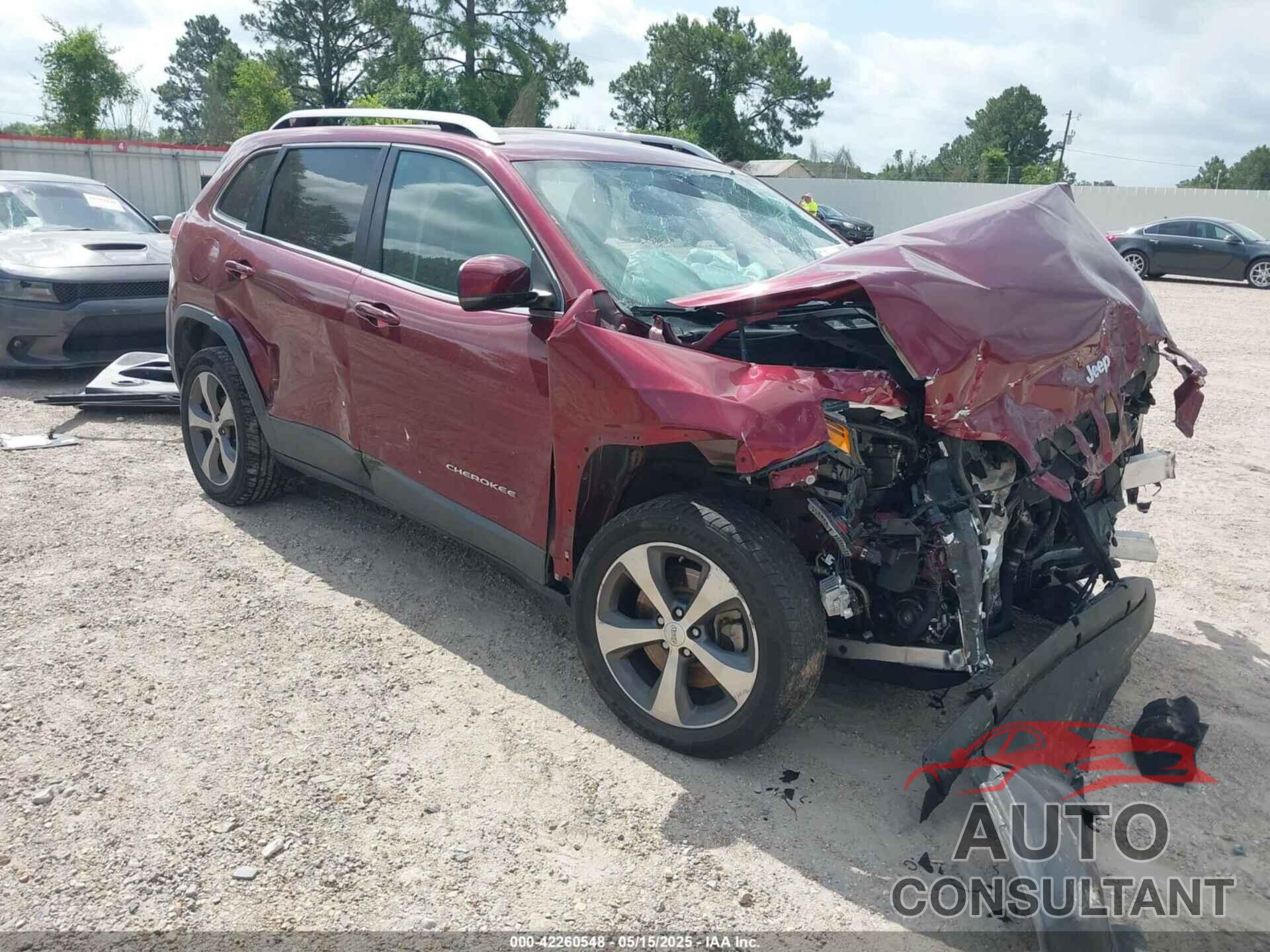 JEEP CHEROKEE 2019 - 1C4PJLDB1KD443567