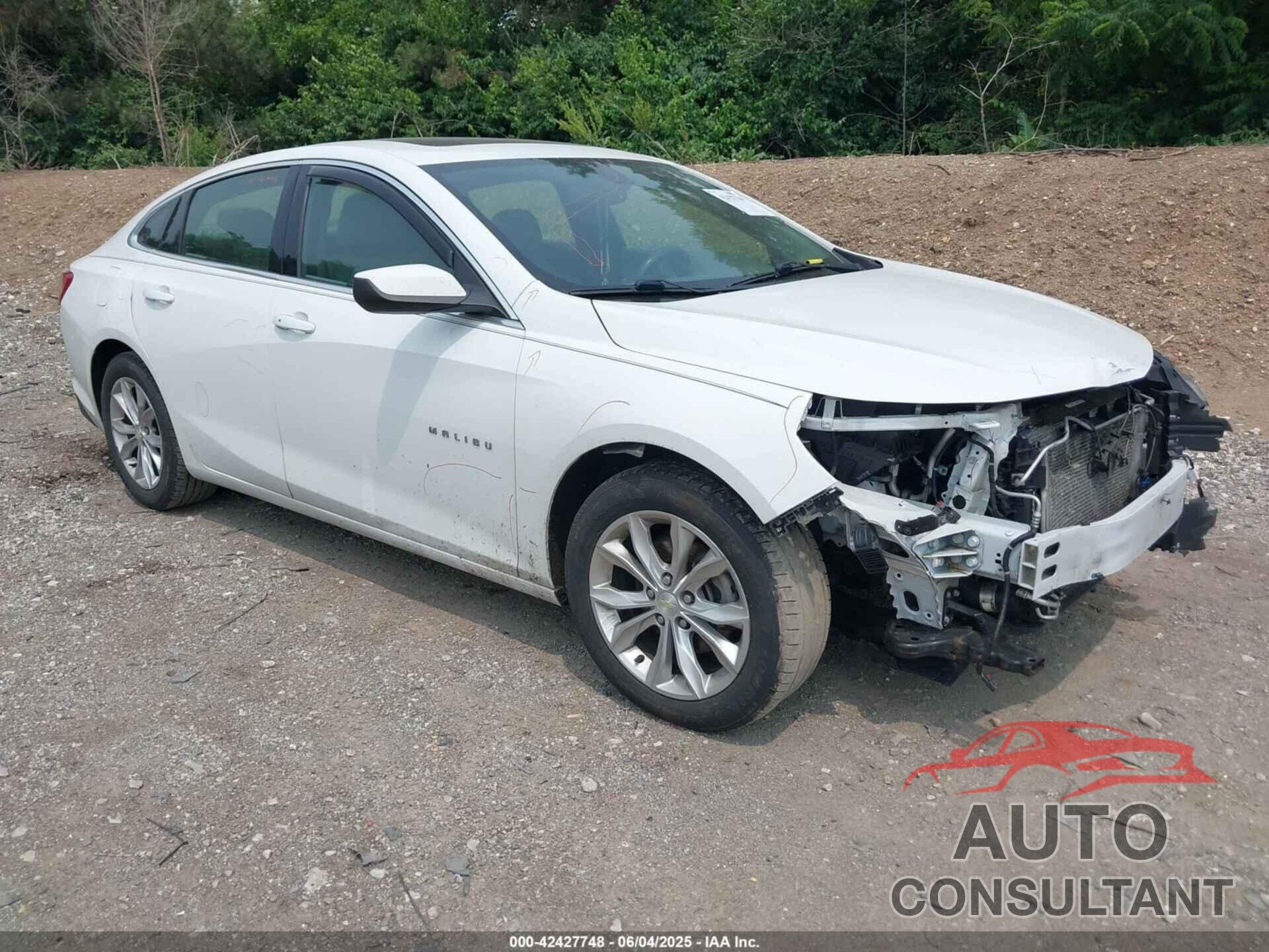CHEVROLET MALIBU 2019 - 1G1ZD5ST4KF121171