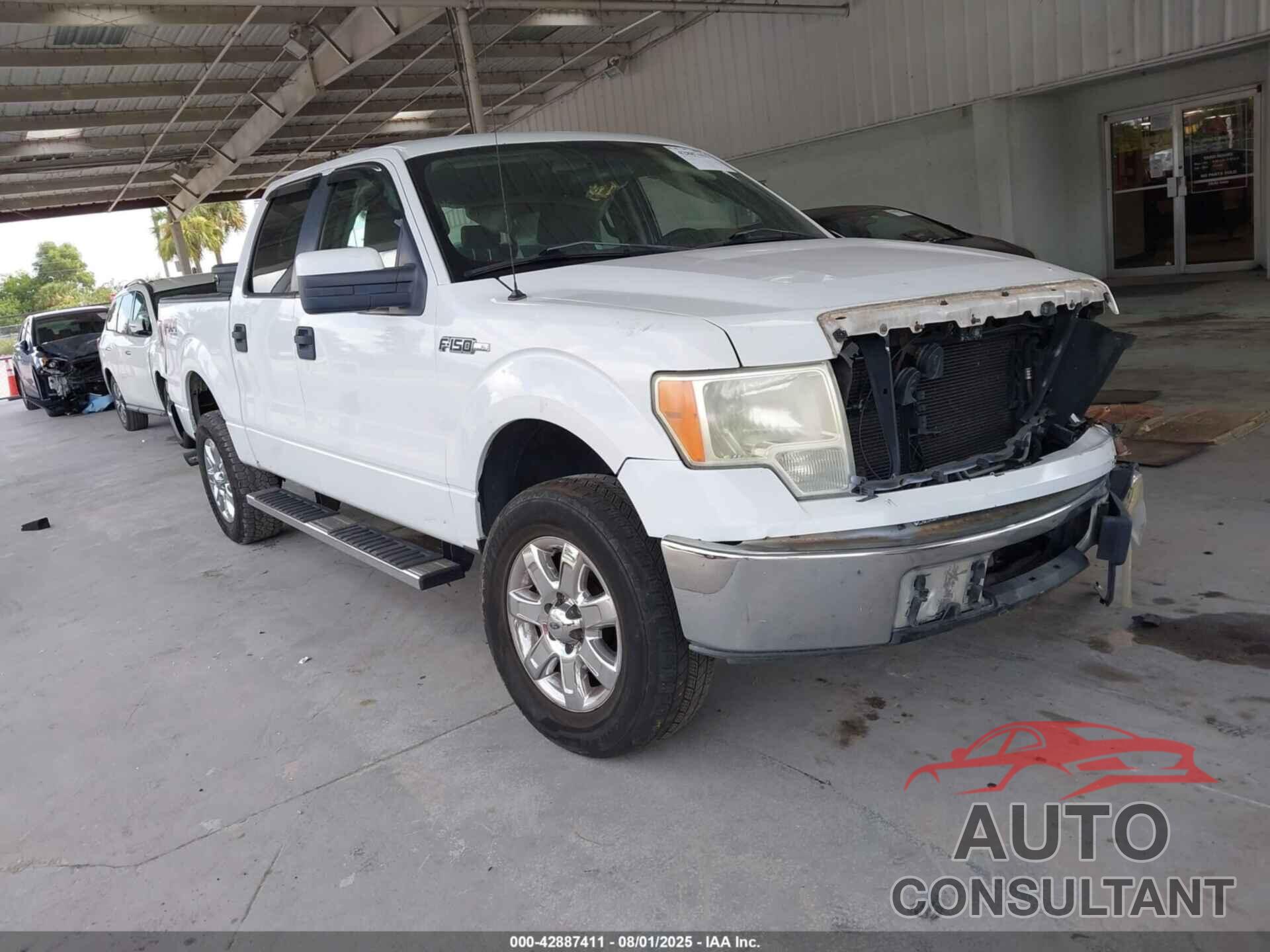 FORD F-150 2009 - 1FTRW128X9FA76317