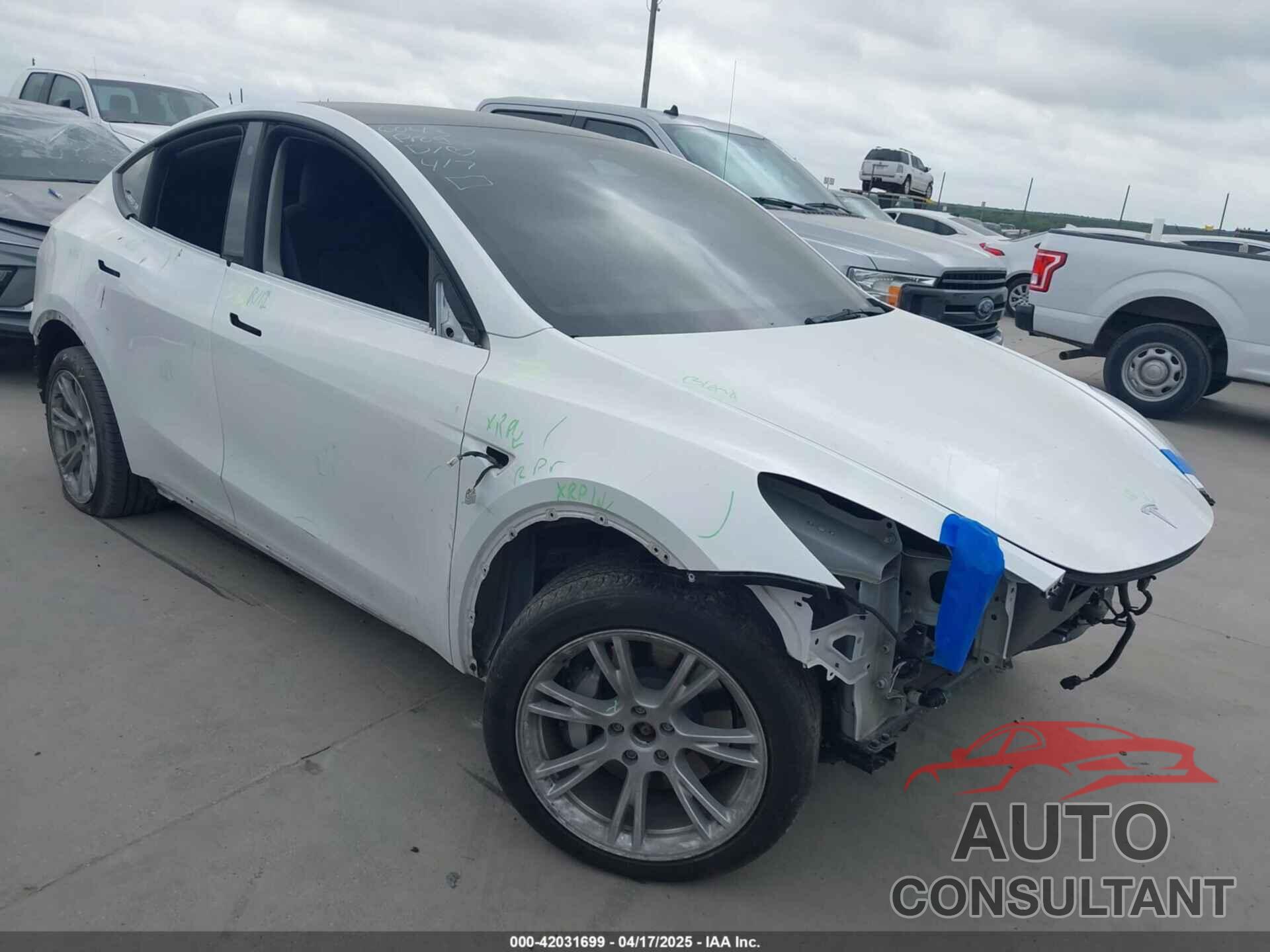 TESLA MODEL Y 2022 - 7SAYGDEE9NA013302