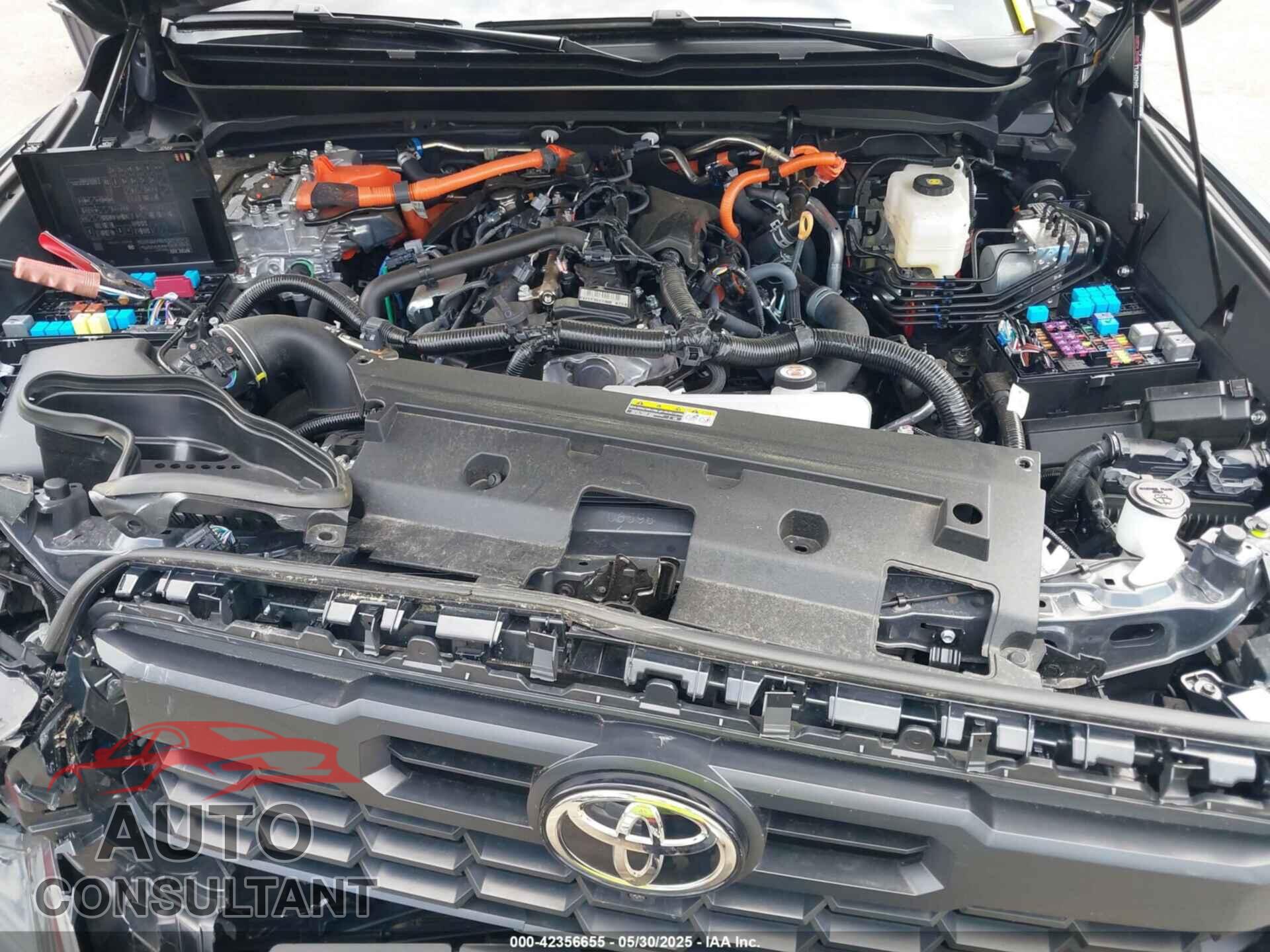 TOYOTA TACOMA HYBRID 2024 - 3TYLC5LNXRT010252