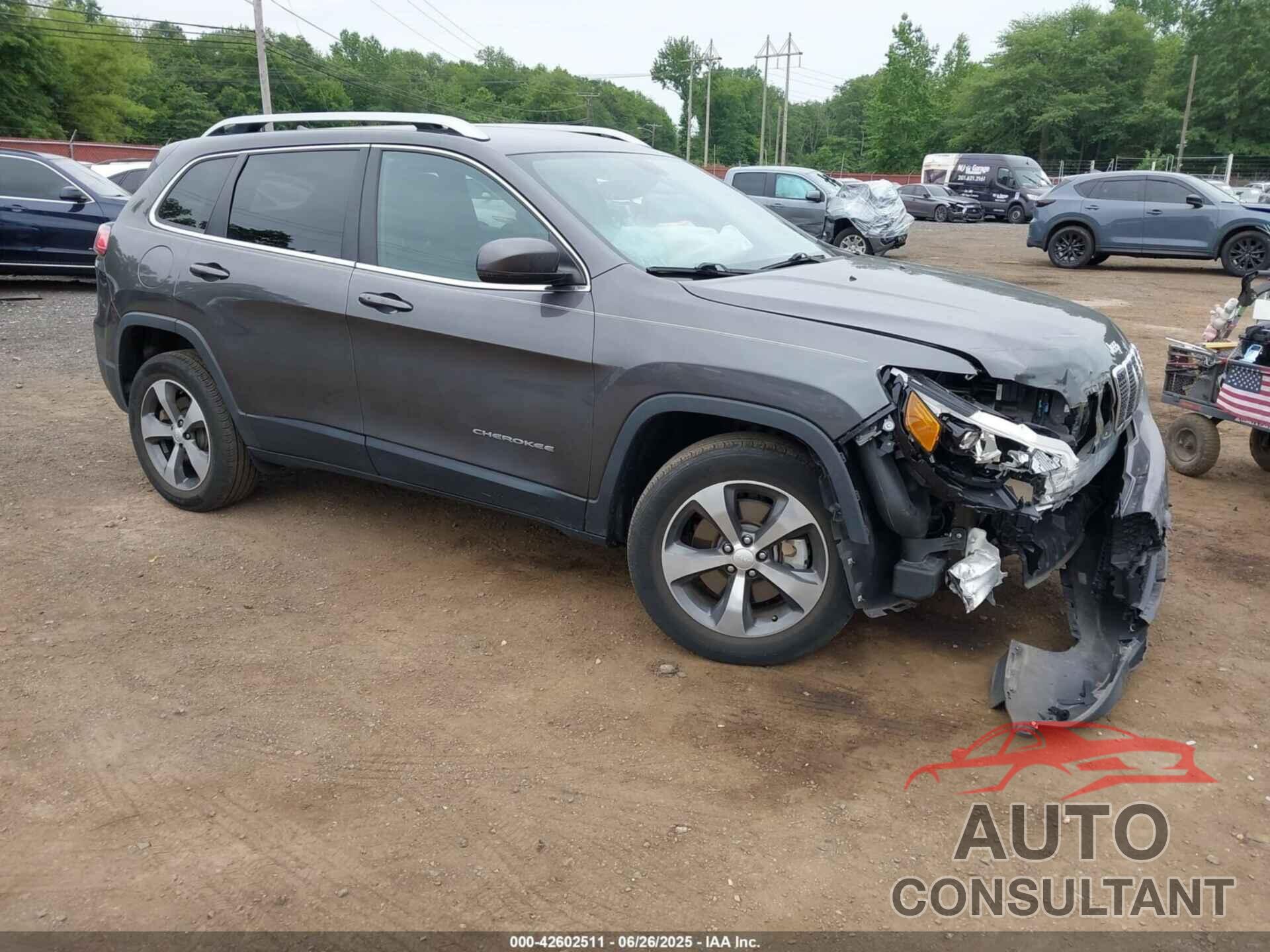 JEEP CHEROKEE 2019 - 1C4PJMDX1KD225369