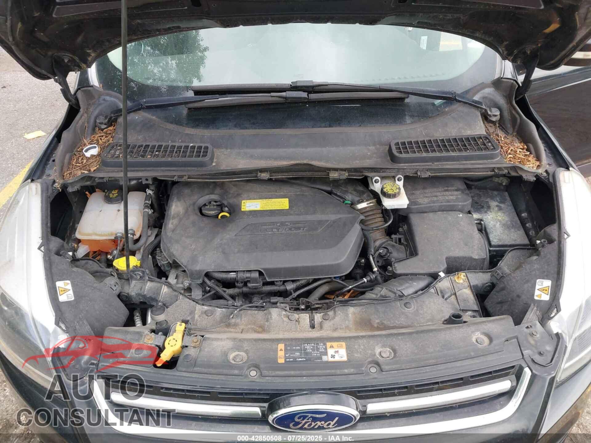 FORD ESCAPE 2014 - 1FMCU0JX9EUC20424