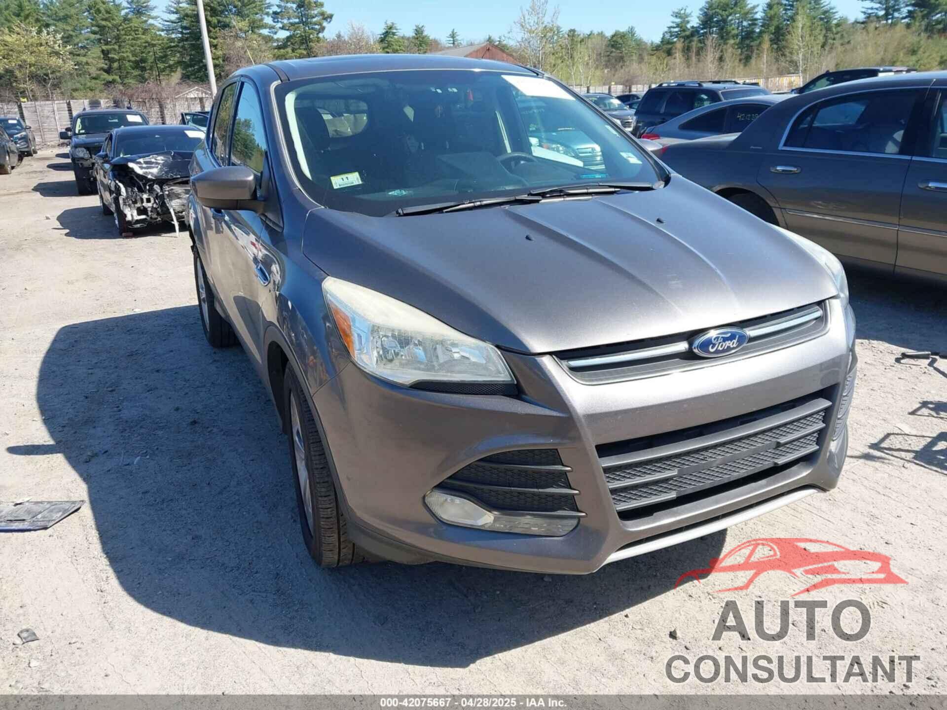 FORD ESCAPE 2014 - 1FMCU9G94EUA06325