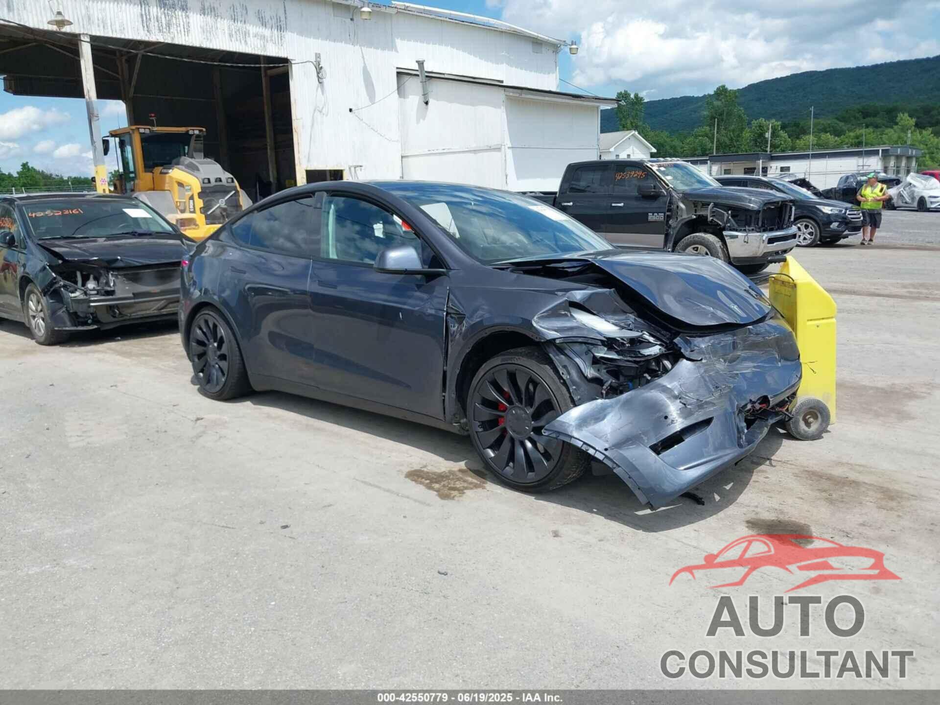 TESLA MODEL Y 2022 - 7SAYGDEF5NF534867